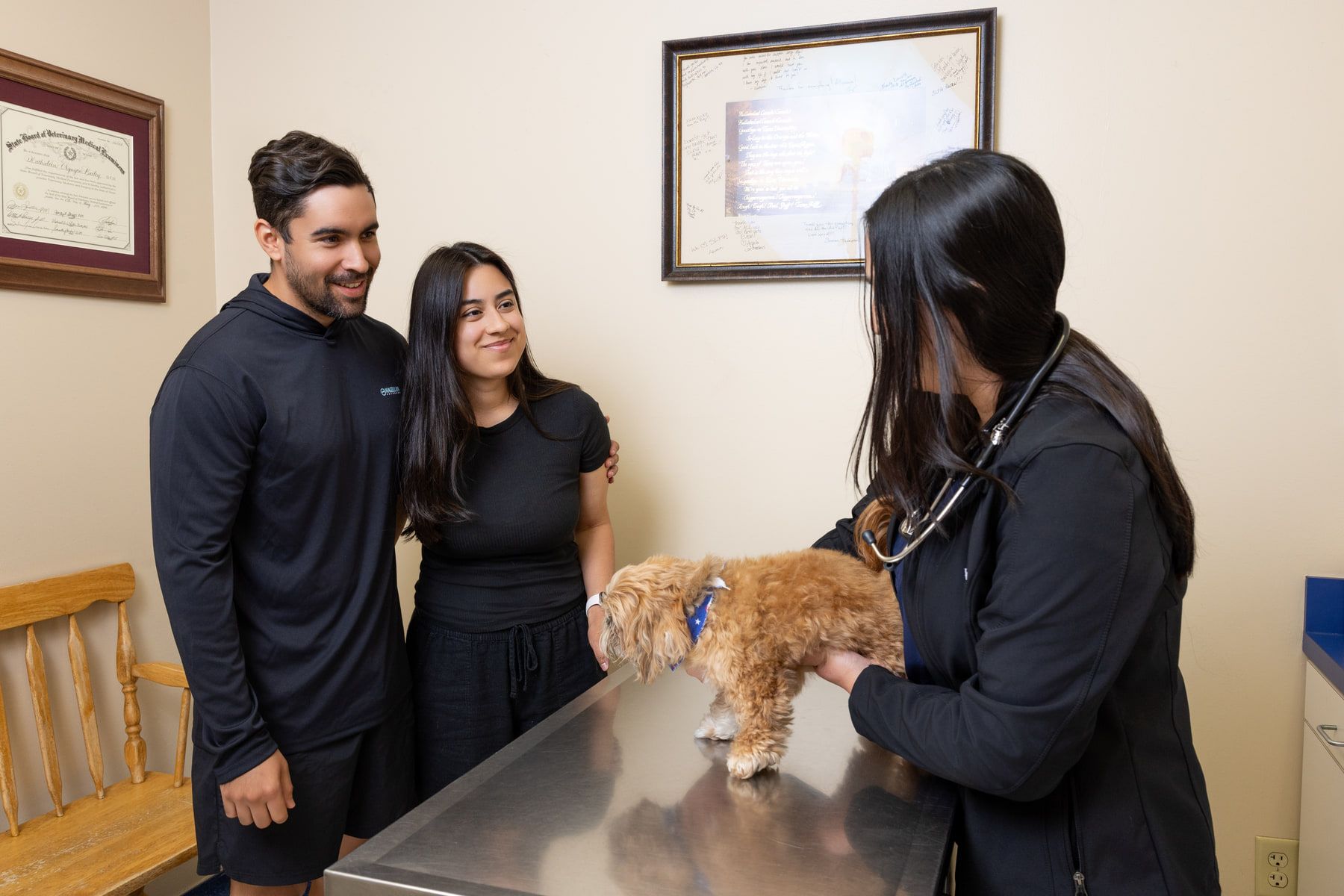 A couple smiling as a veterinarian holds their small apricot dog on the exam table