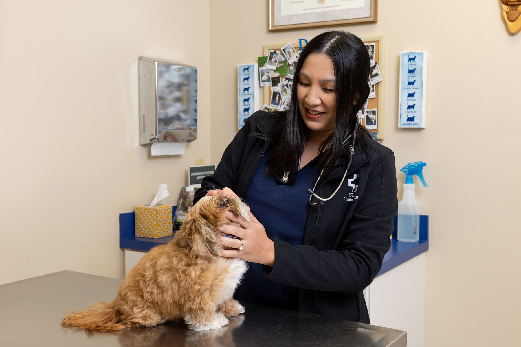 A veterinarian smiling at a small apricot dog sitting on the exam table