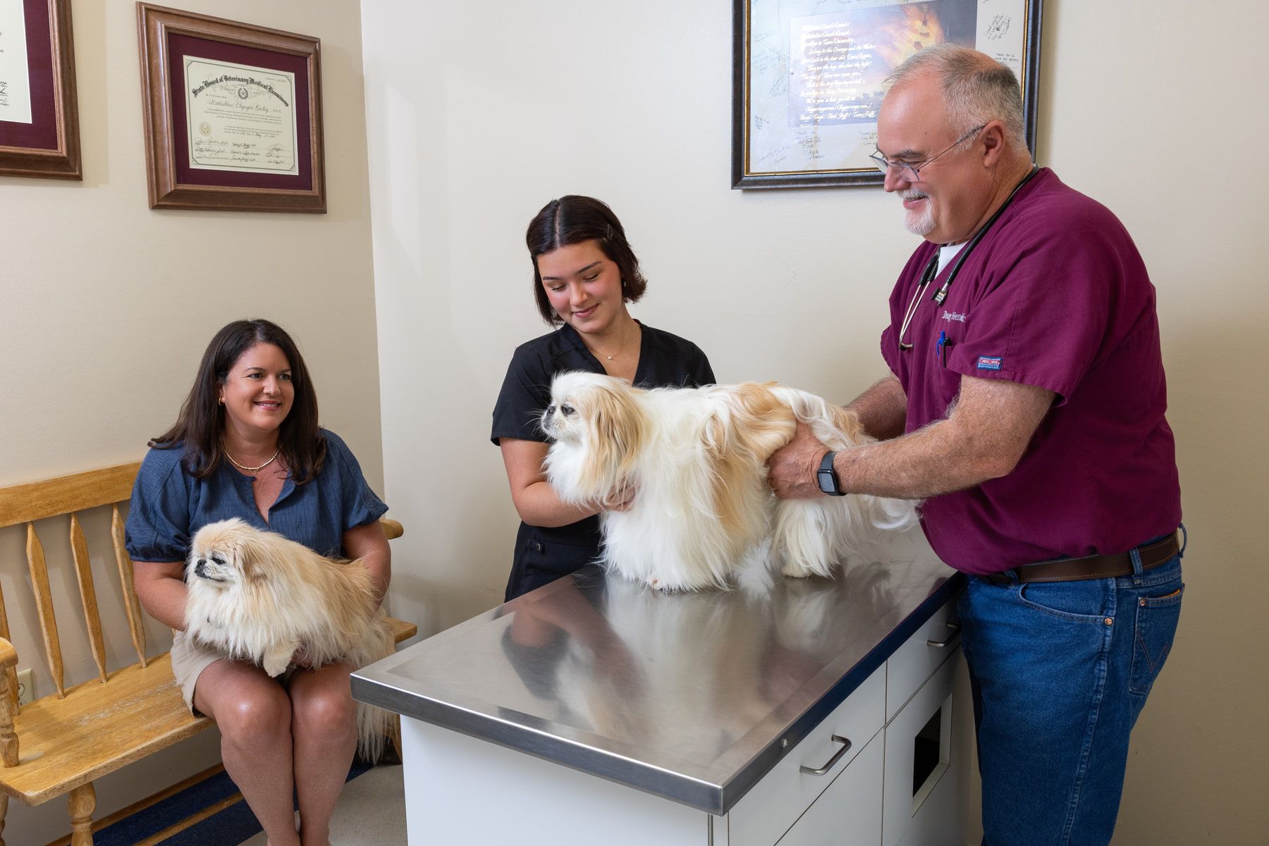 A veterinarian examining a Pekingese held by a technician on the exam table while the owner sits nearby holding a second Pekingese