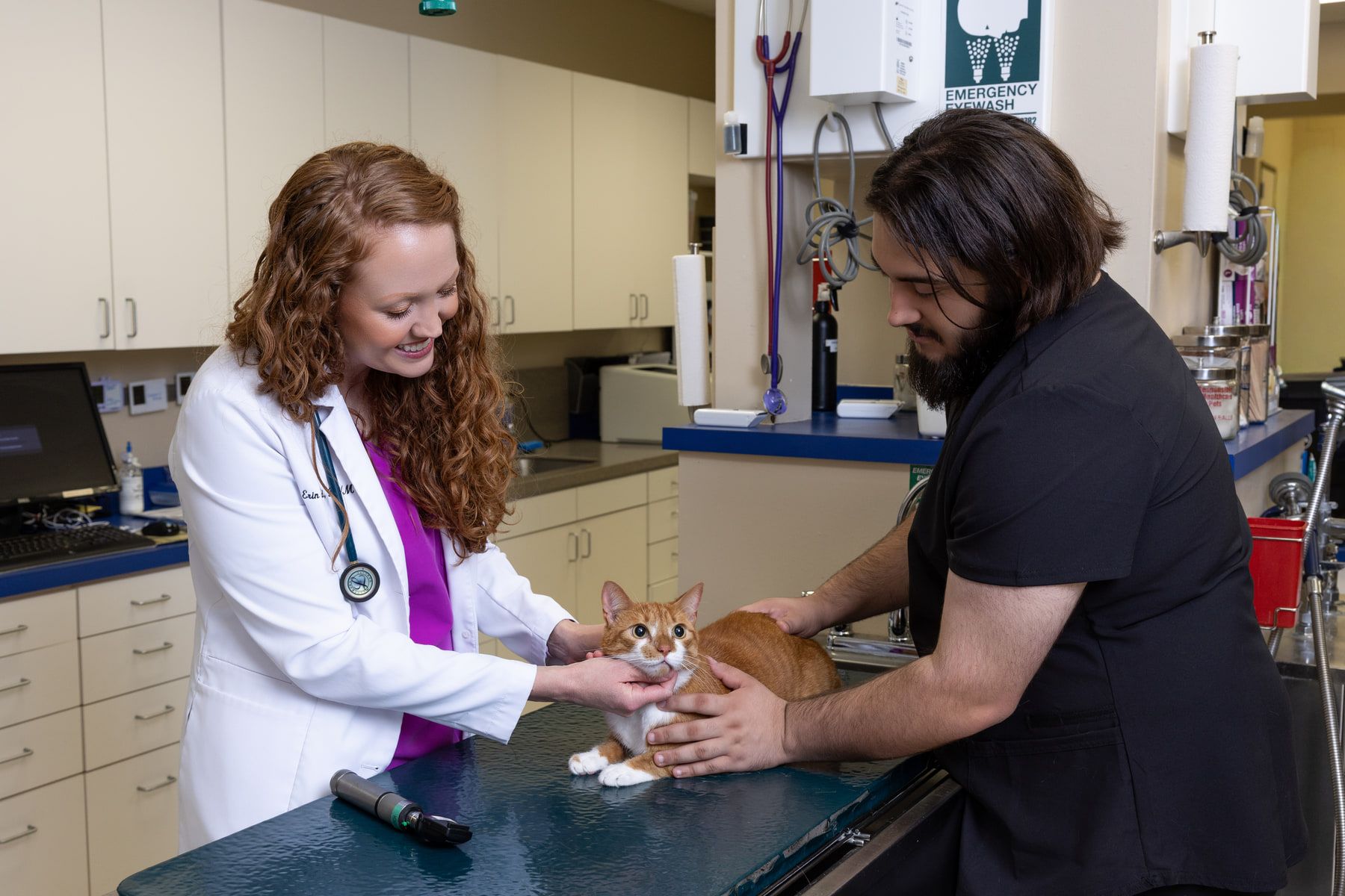 A veterinarian examining an orange tabby cat held by its owner on an exam table