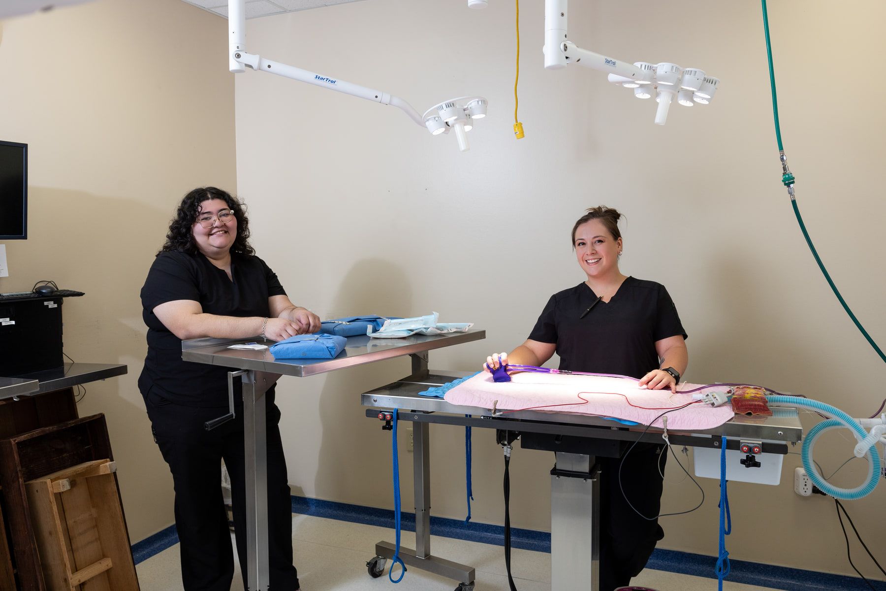 Two technicians preparing the surgical suite, with the surgical lights and anesthesia lines overhead