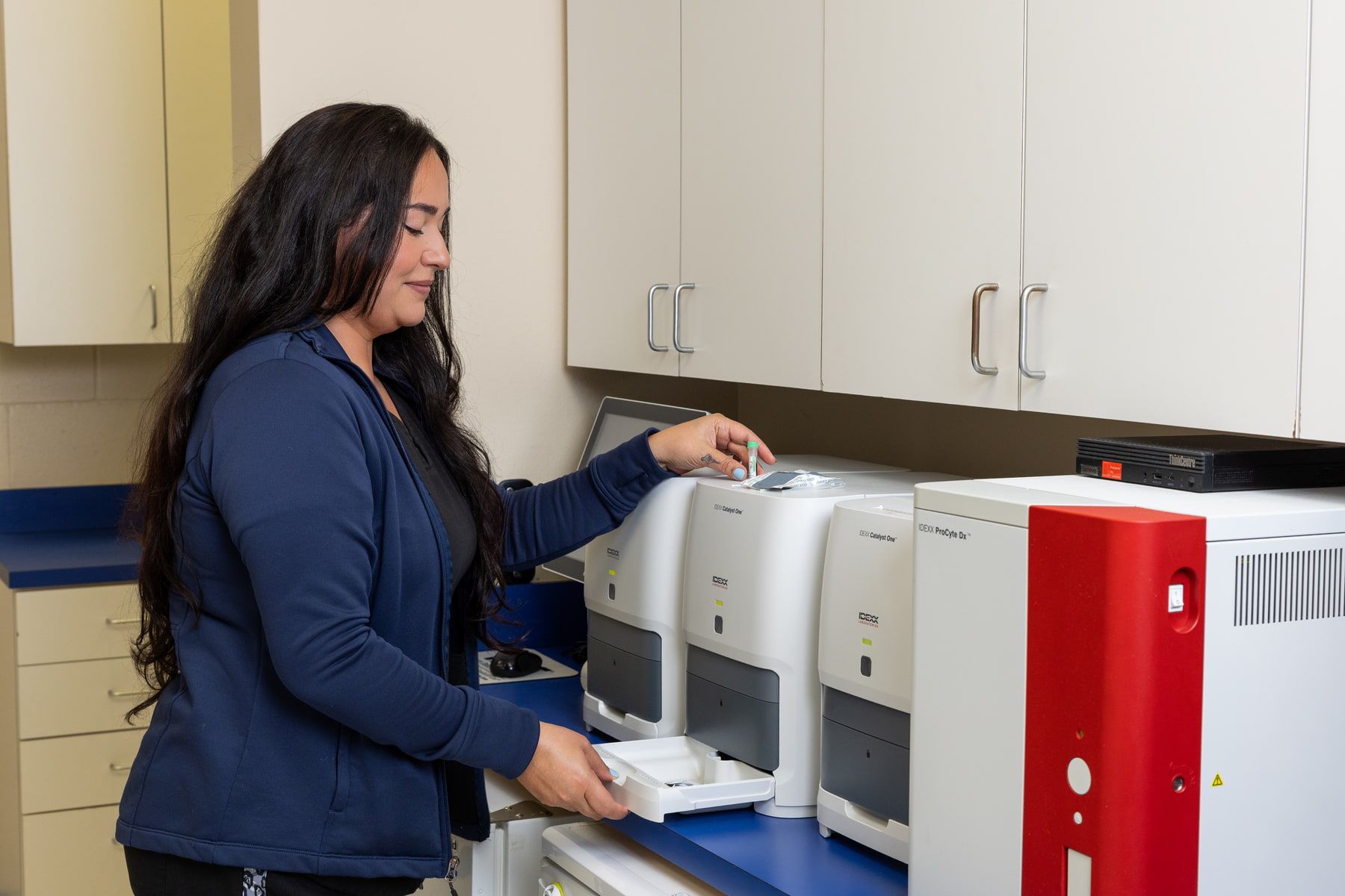 A technician loading a sample into the in-house blood chemistry analyzer