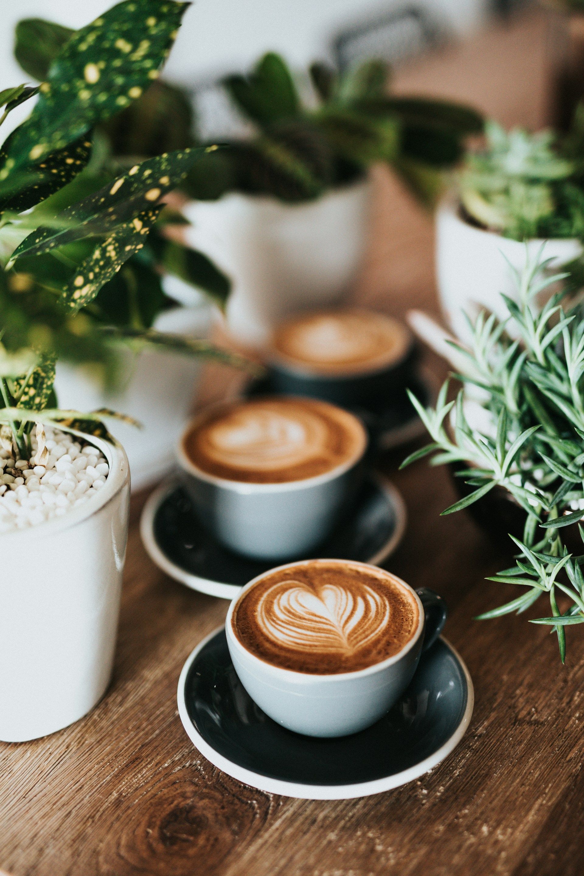 Cafes & Bars