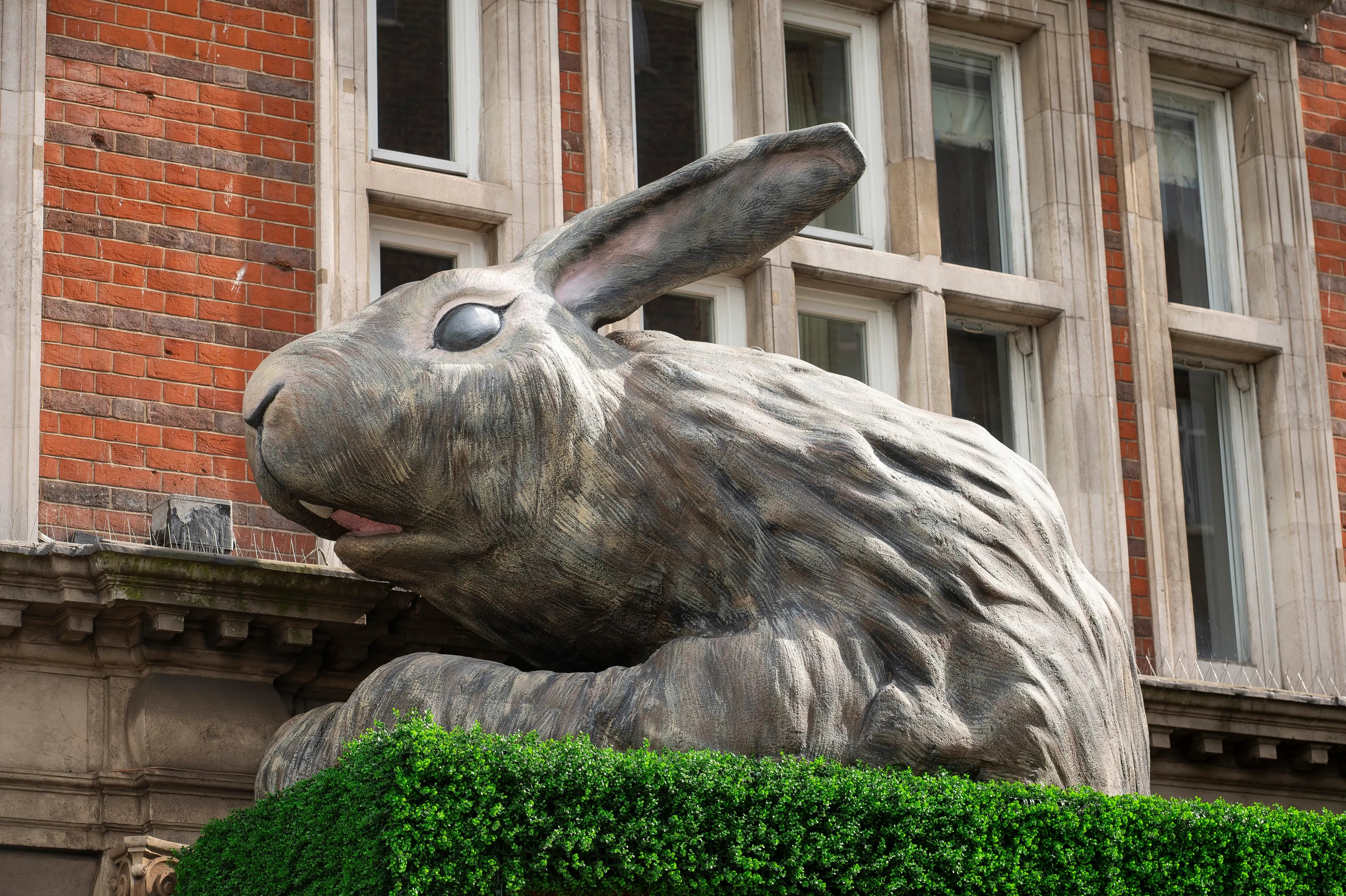 Photograph 7 of the Rabbit Warren Street project