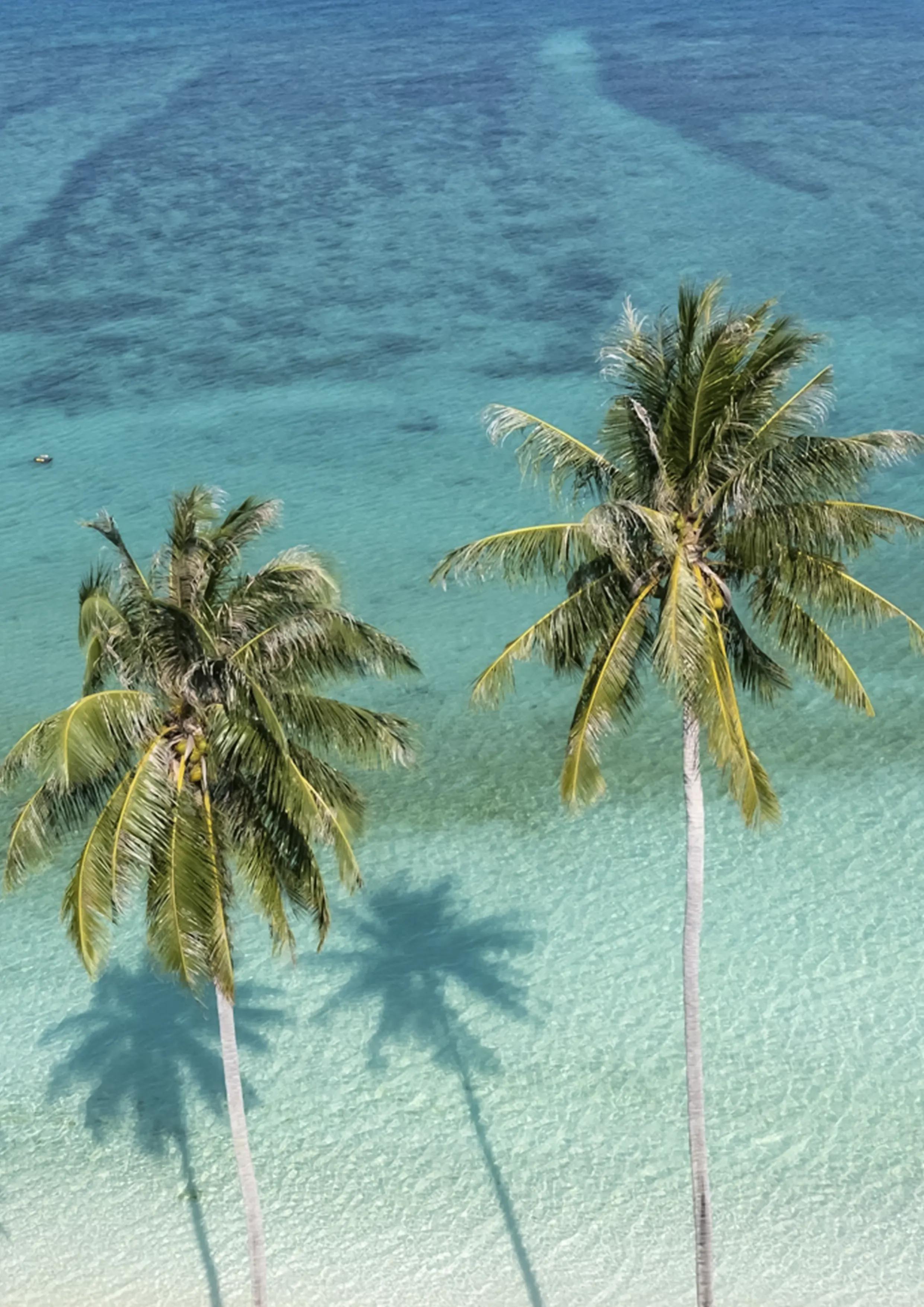 AMBERGRIS CAYE AT LEISURE