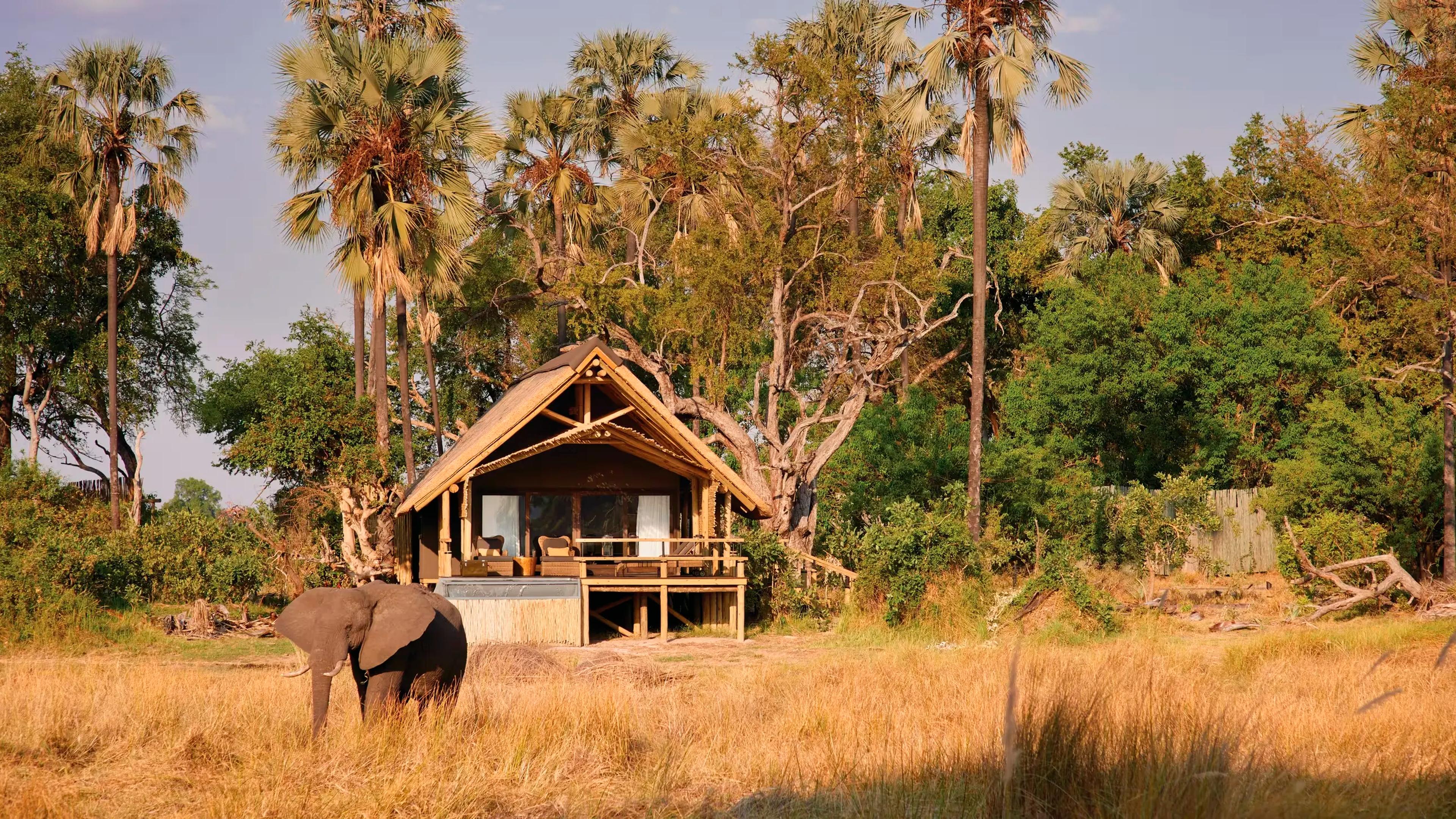 Operational Mastery Behind the Experience