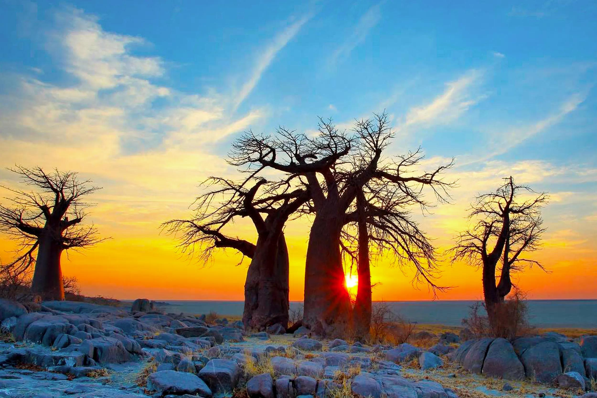 Makgadikgadi Pans & Open Horizons