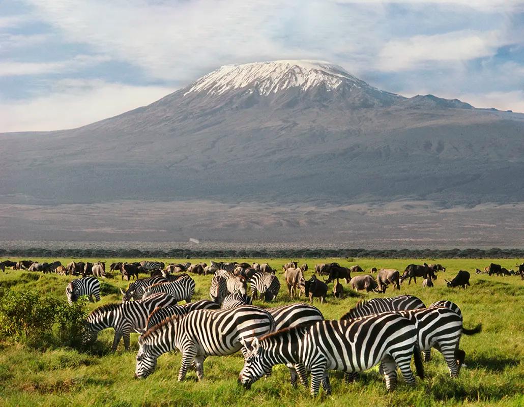 AMBOSELI | KILIMANJARO VISTAS AND ELEPHANT COUNTRY