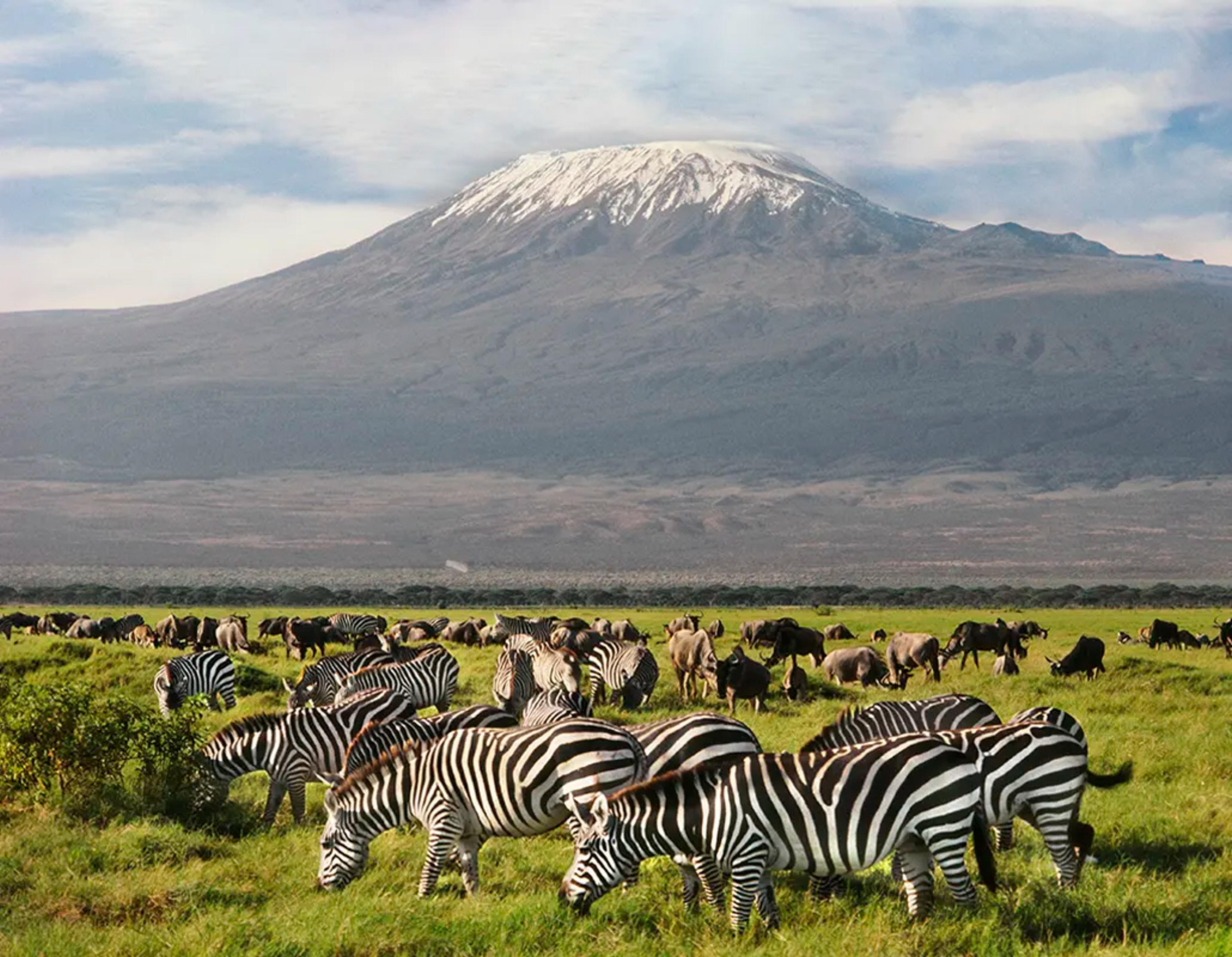 AMBOSELI | KILIMANJARO VISTAS AND ELEPHANT COUNTRY