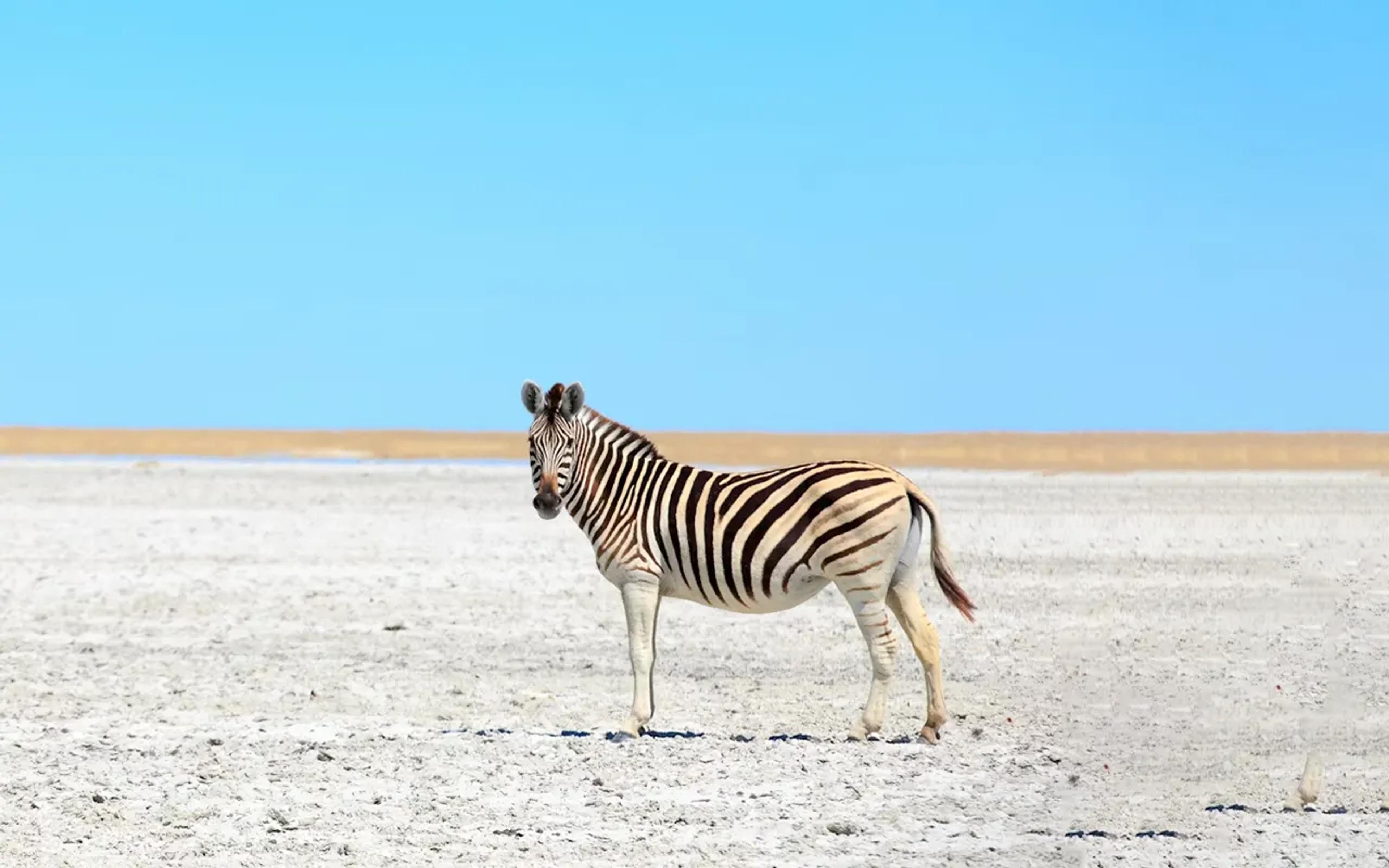 Namibia to Victoria Falls Overland Safari