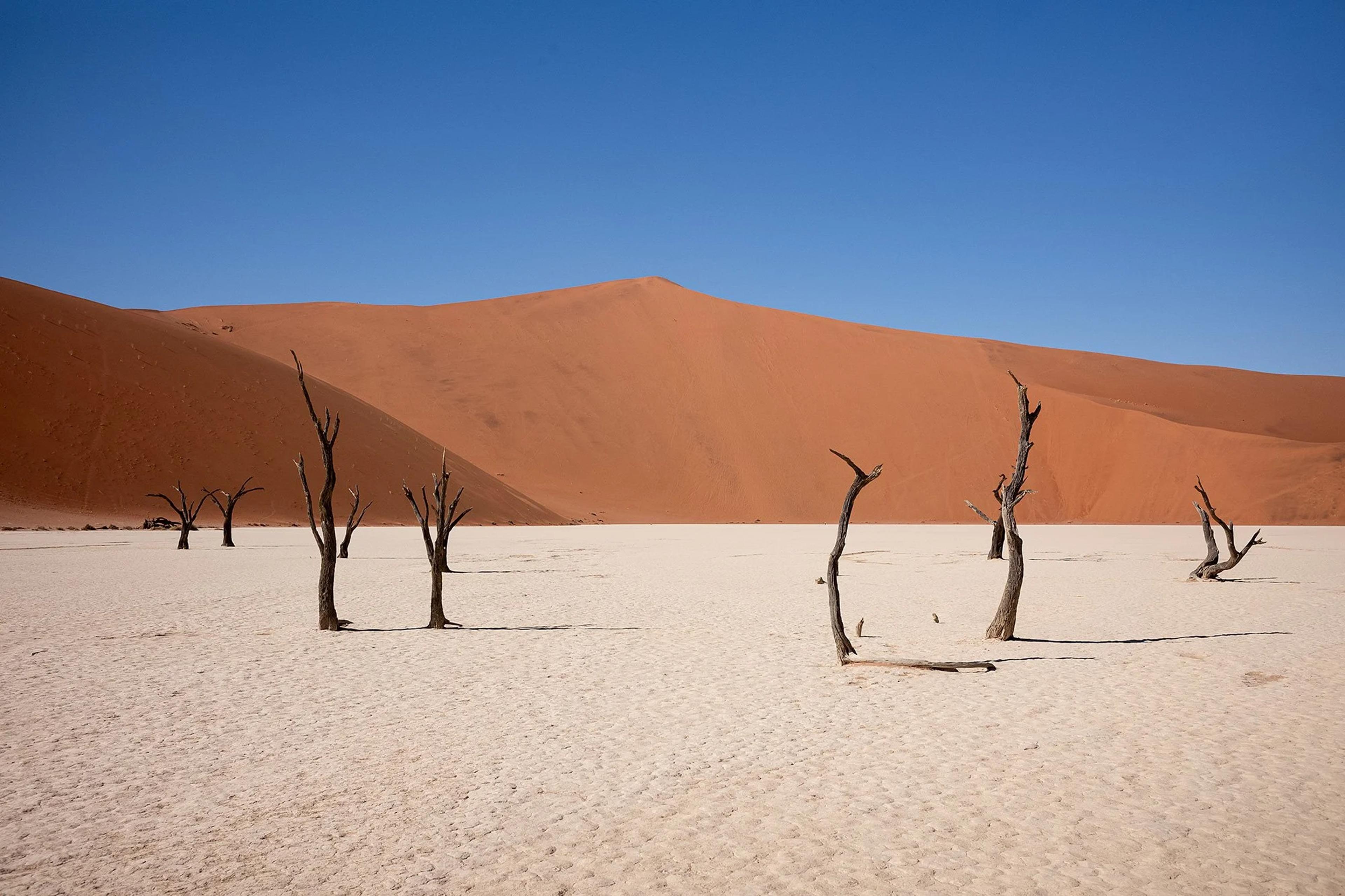 Sossusvlei & the Namib Desert