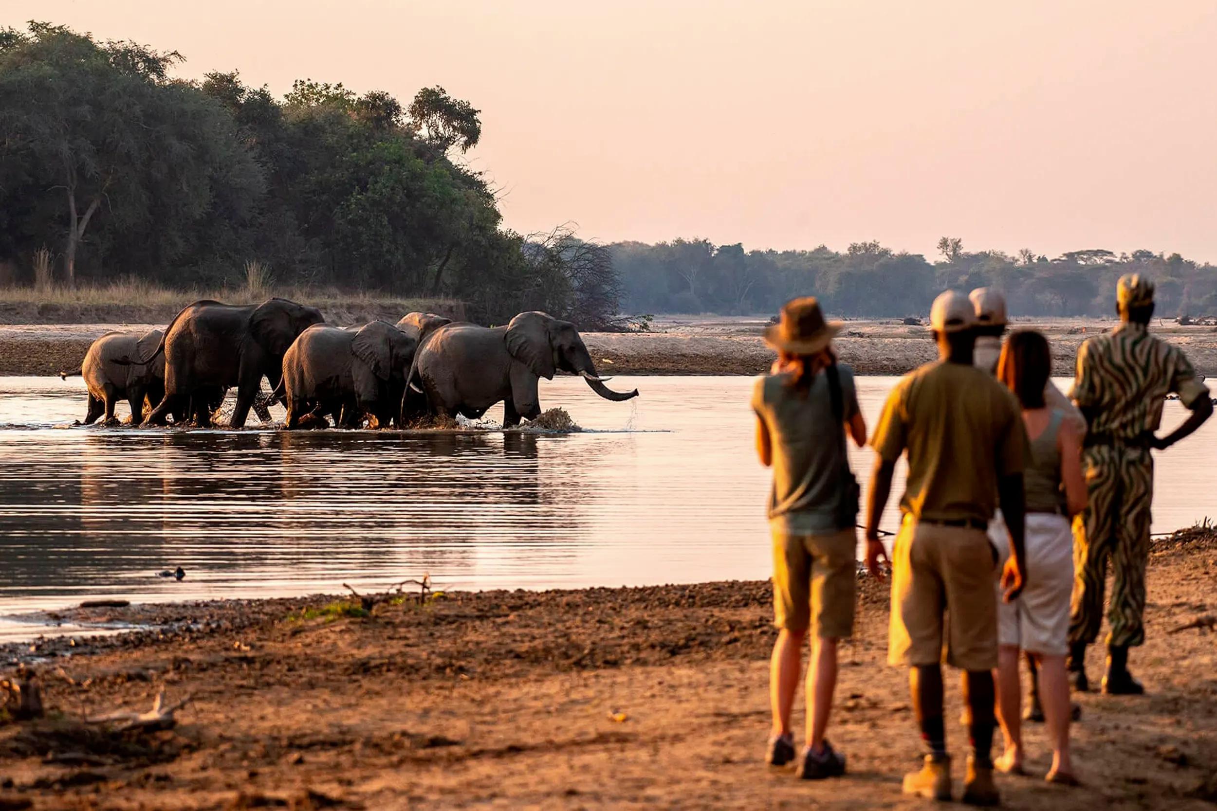 HIGHLIGHTS OF ZAMBIA: VICTORIA FALLS & SOUTH LUANGWA SAFARI