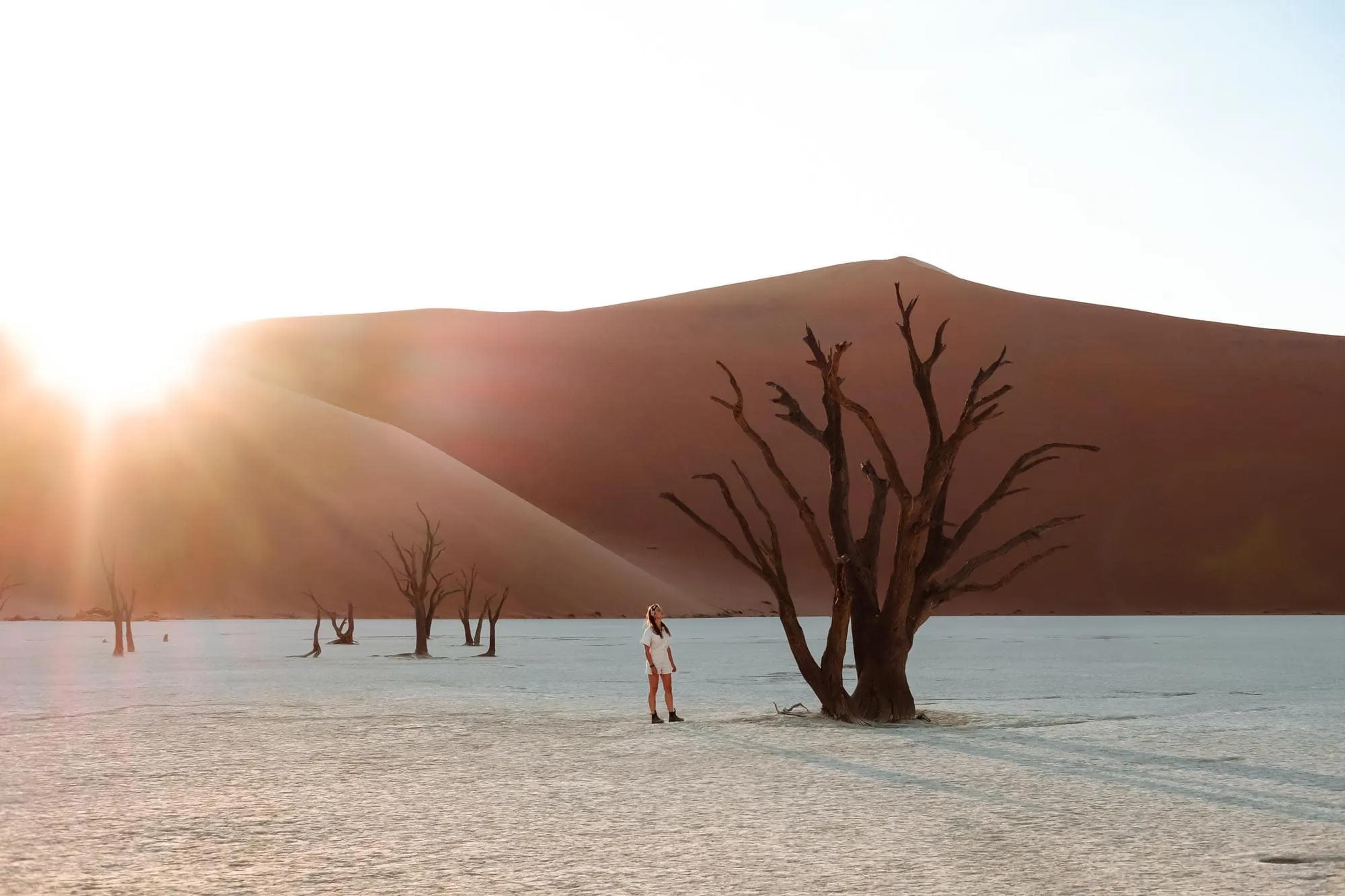 Namibia Desert & Wildlife Safari