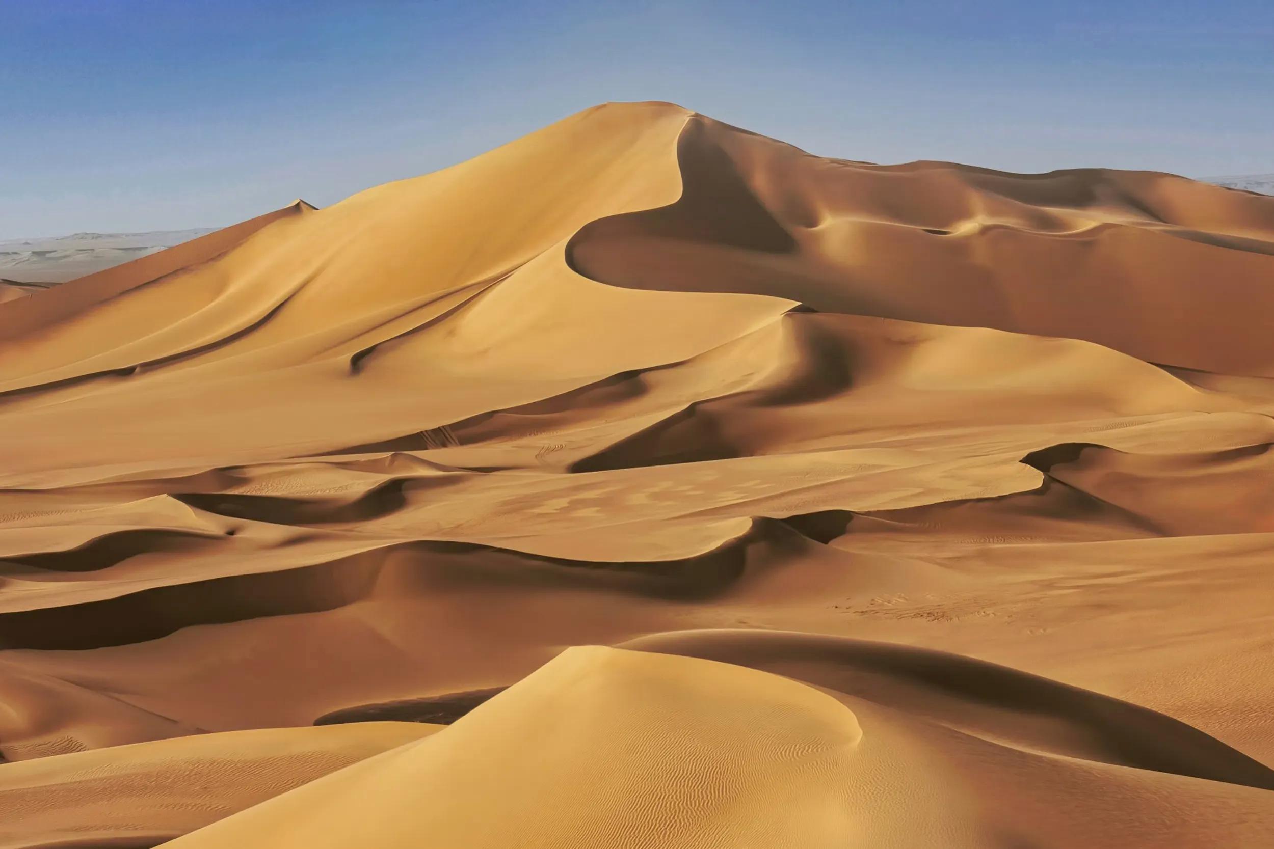 The Western Desert & the Oases