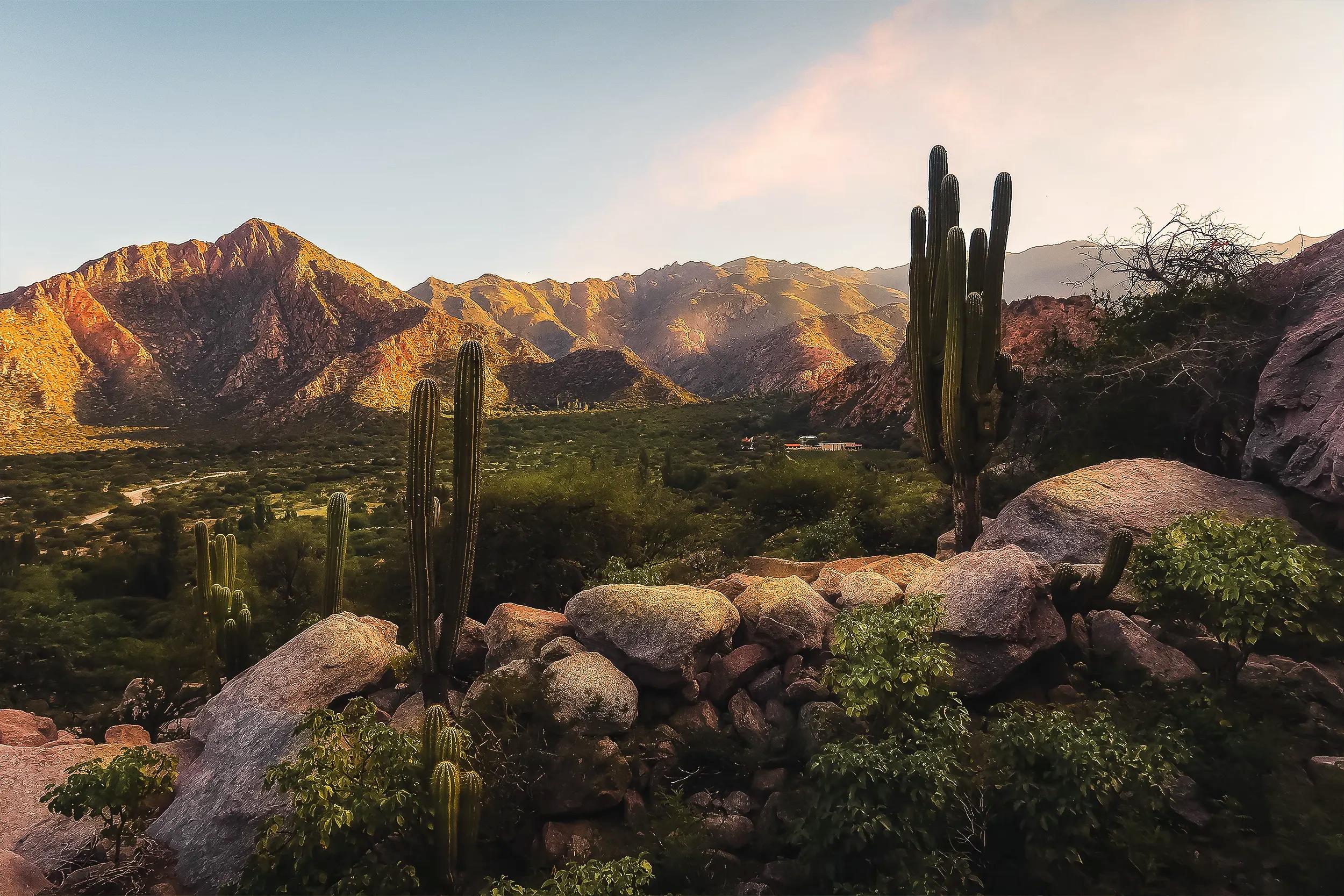 MENDOZA WINE COUNTRY EXPERIENCE