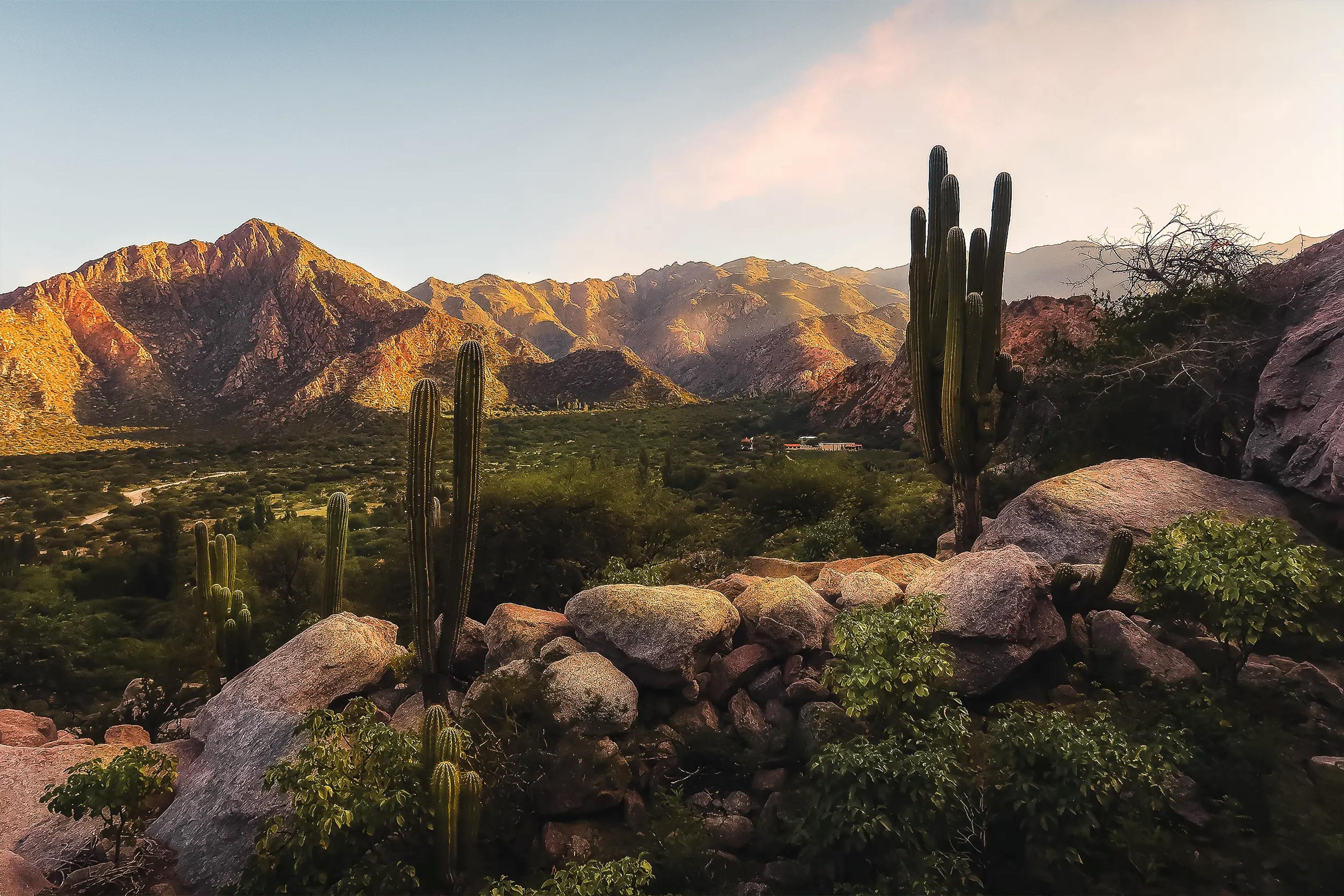 MENDOZA WINE COUNTRY EXPERIENCE