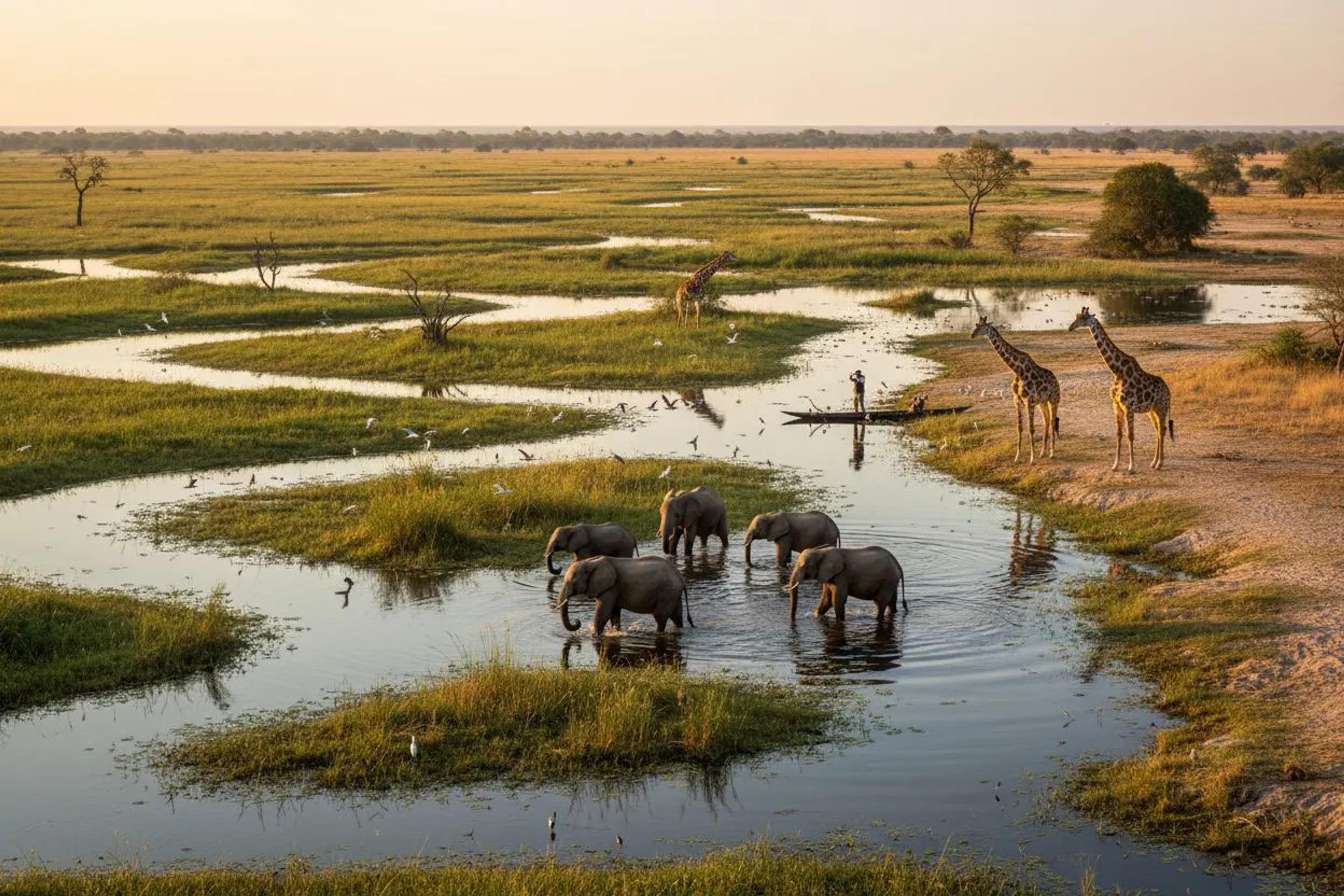 MAUN TO OKAVANGO DELTA PANHANDLE