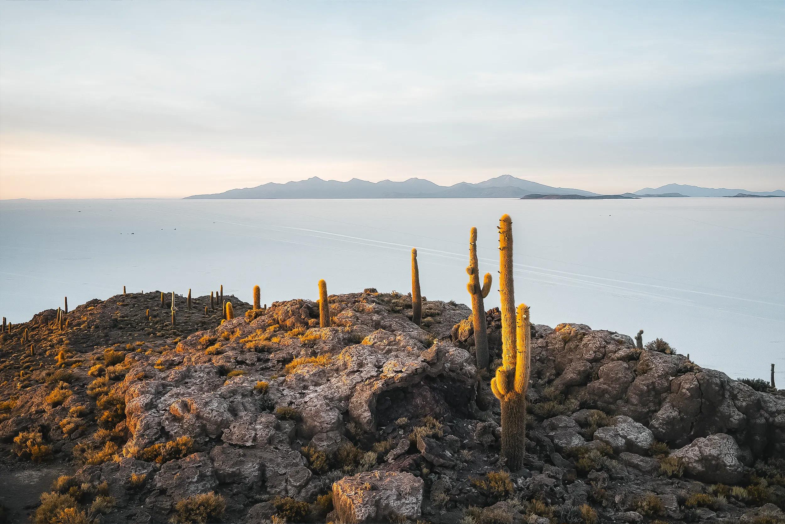 SALAR DE UYUNI AND INCAHUASI ISLAND