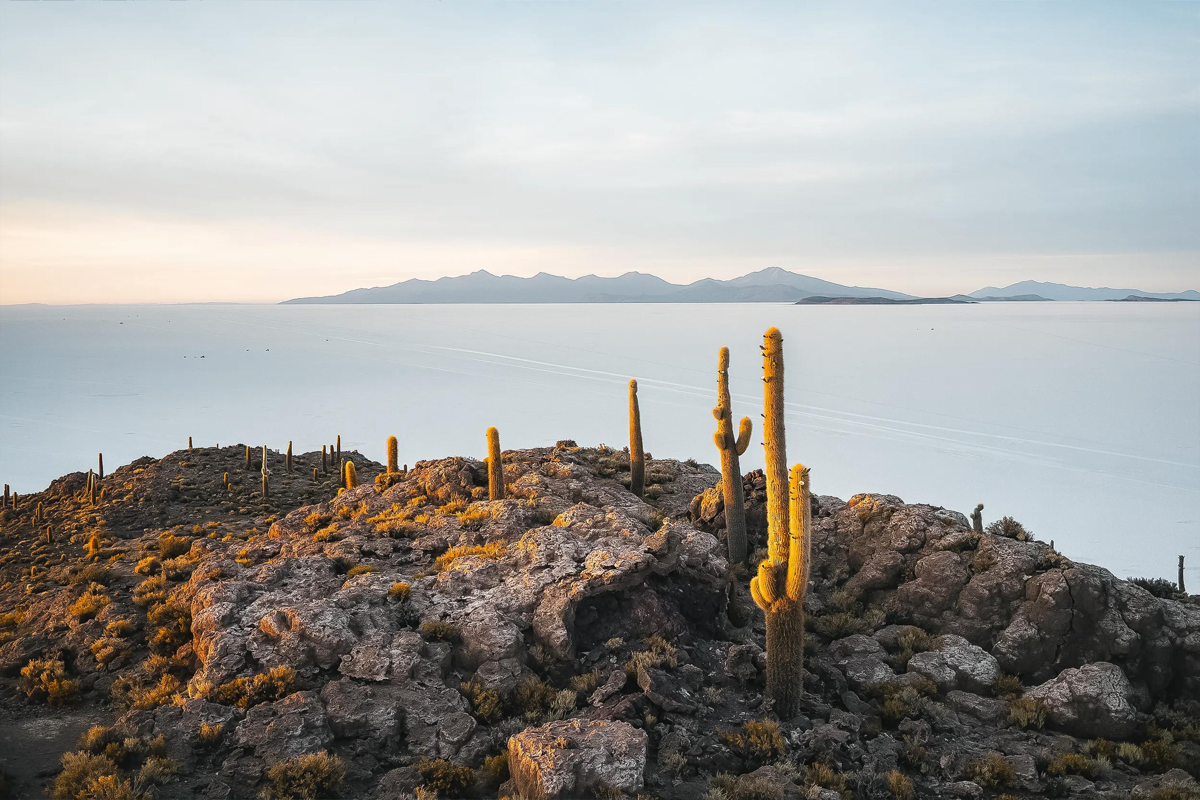 SALAR DE UYUNI AND INCAHUASI ISLAND