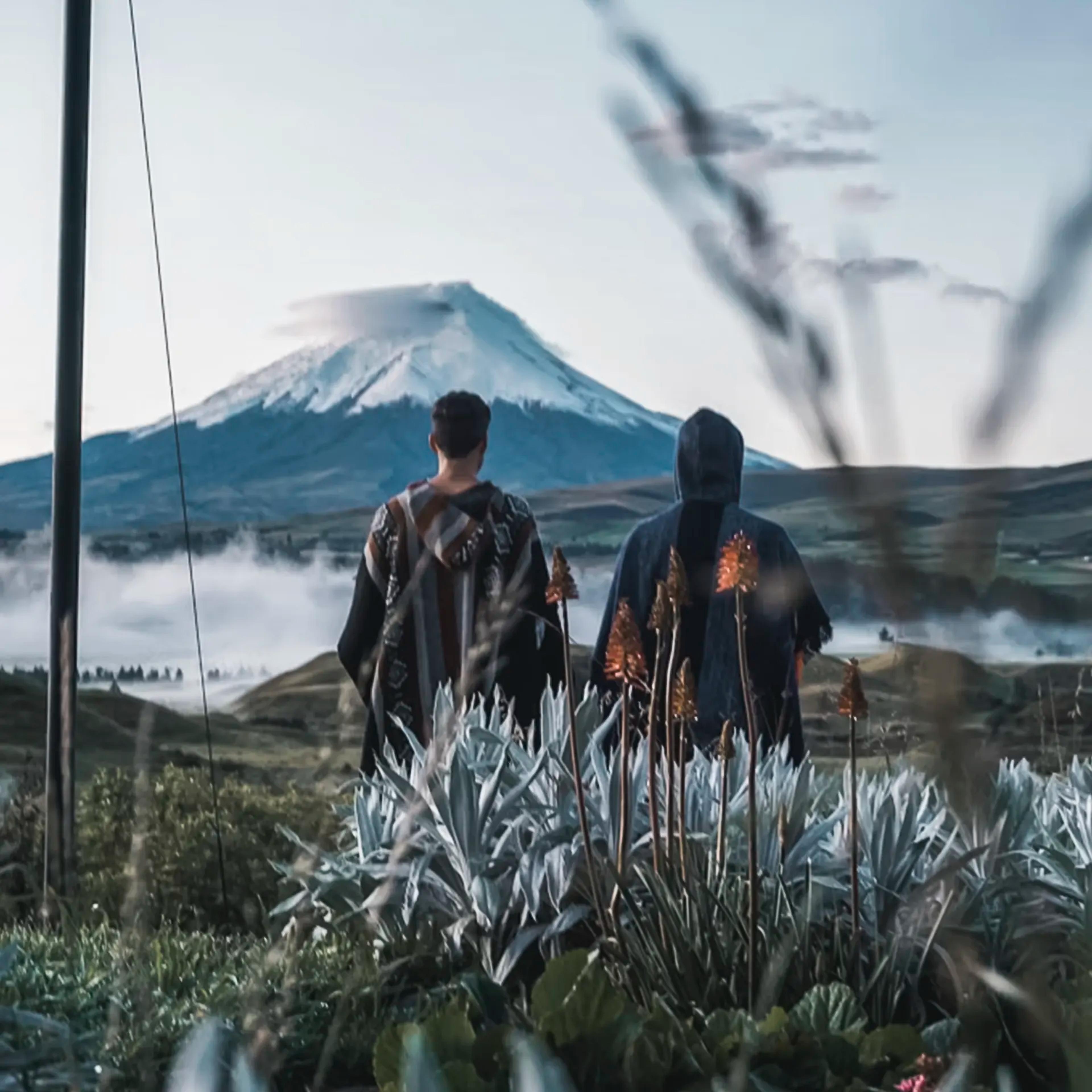 The Avenue of the Volcanoes