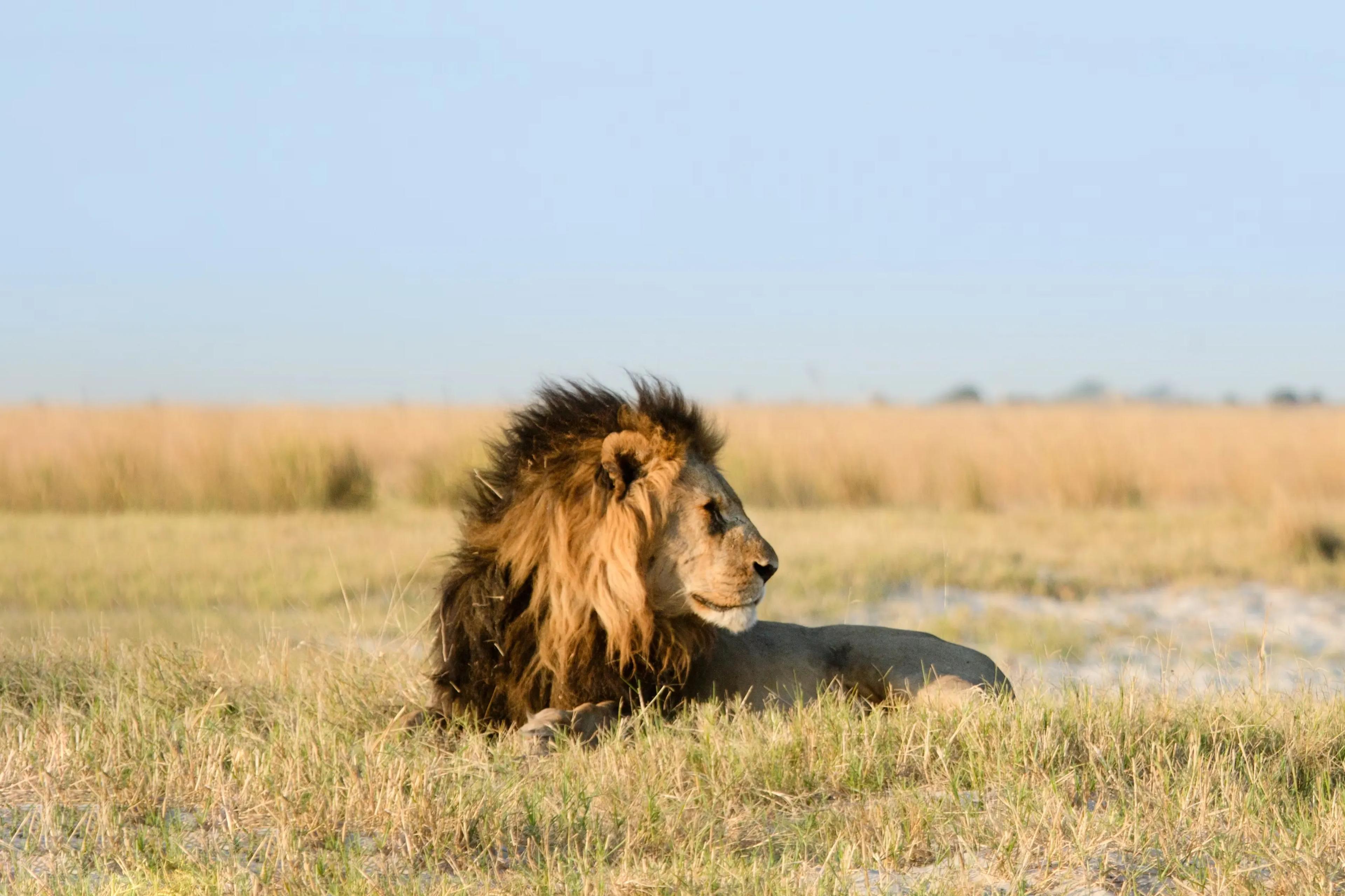 WINDHOEK TO D’KAR (KALAHARI), BOTSWANA