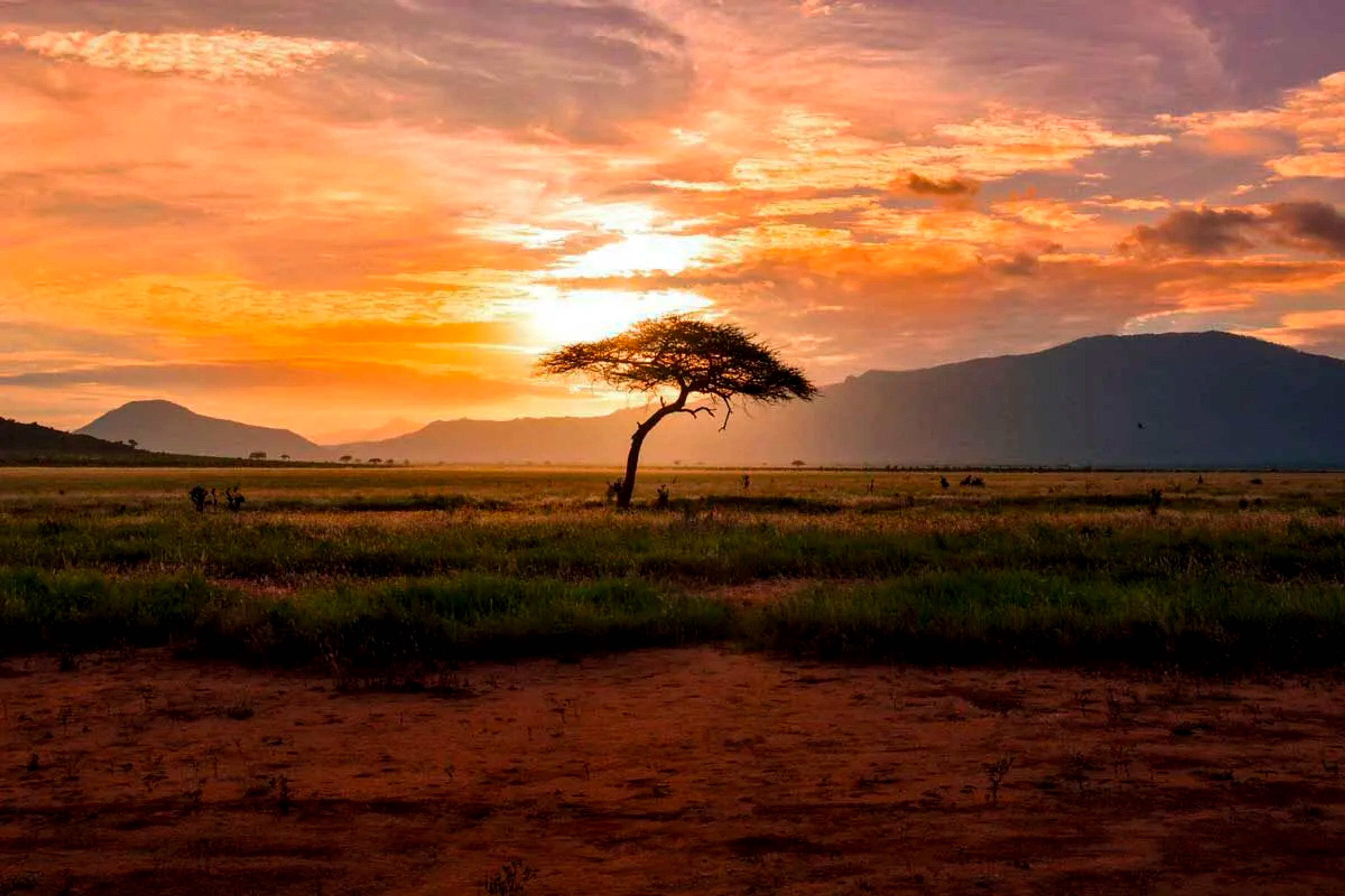 PURROS CONSERVANCY AND HIMBA CULTURE