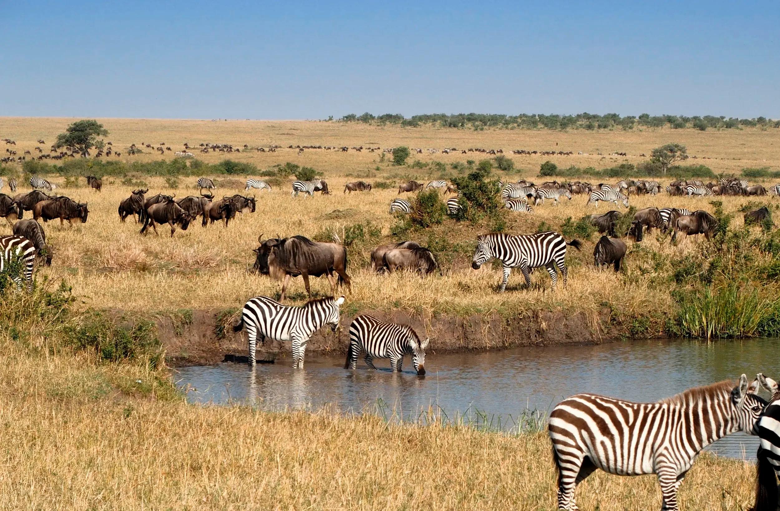 SERENGETI NATIONAL PARK
