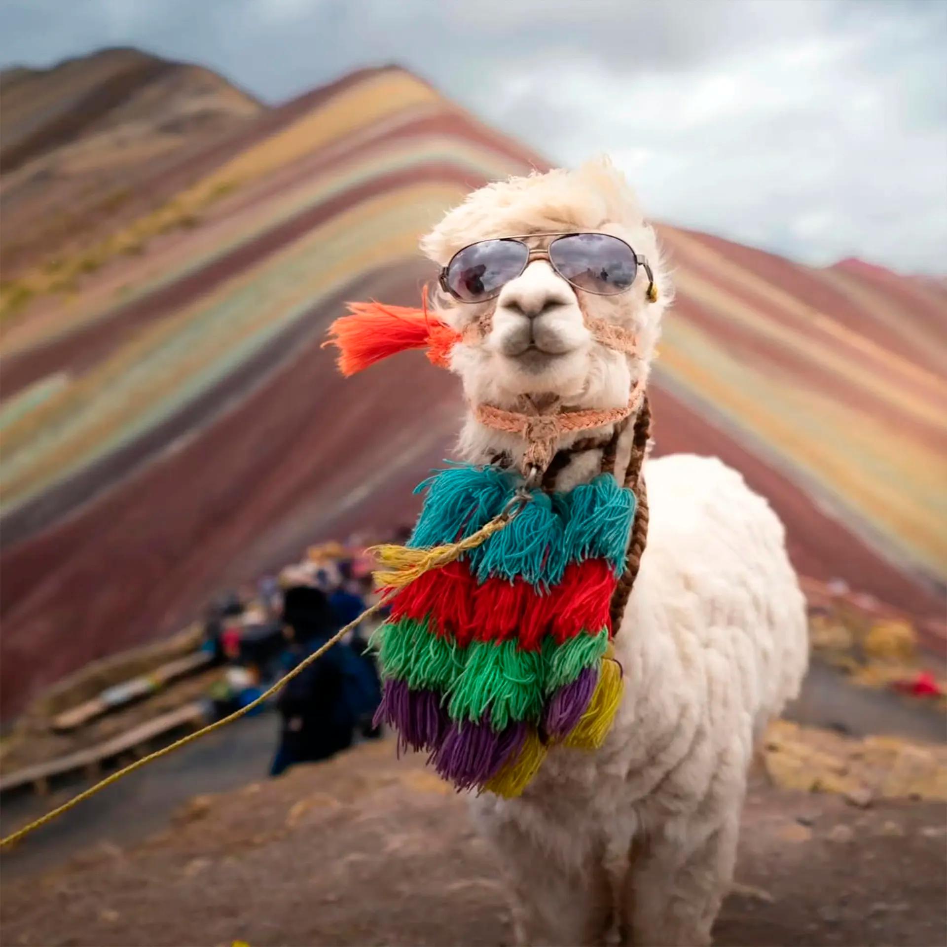 Rainbow Mountain & the Southern Andes
