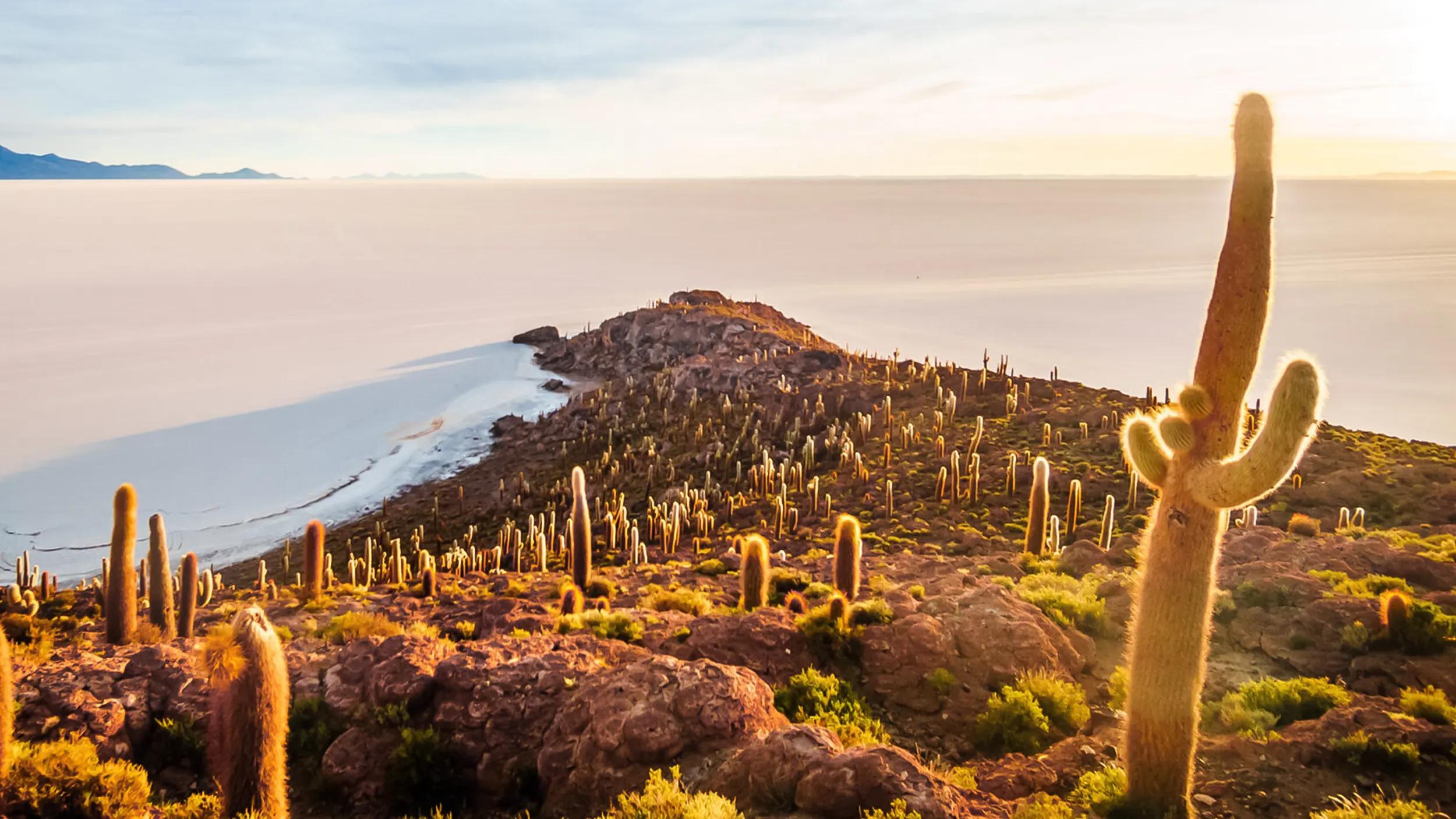 SALAR DE UYUNI AND INCAHUASI ISLAND