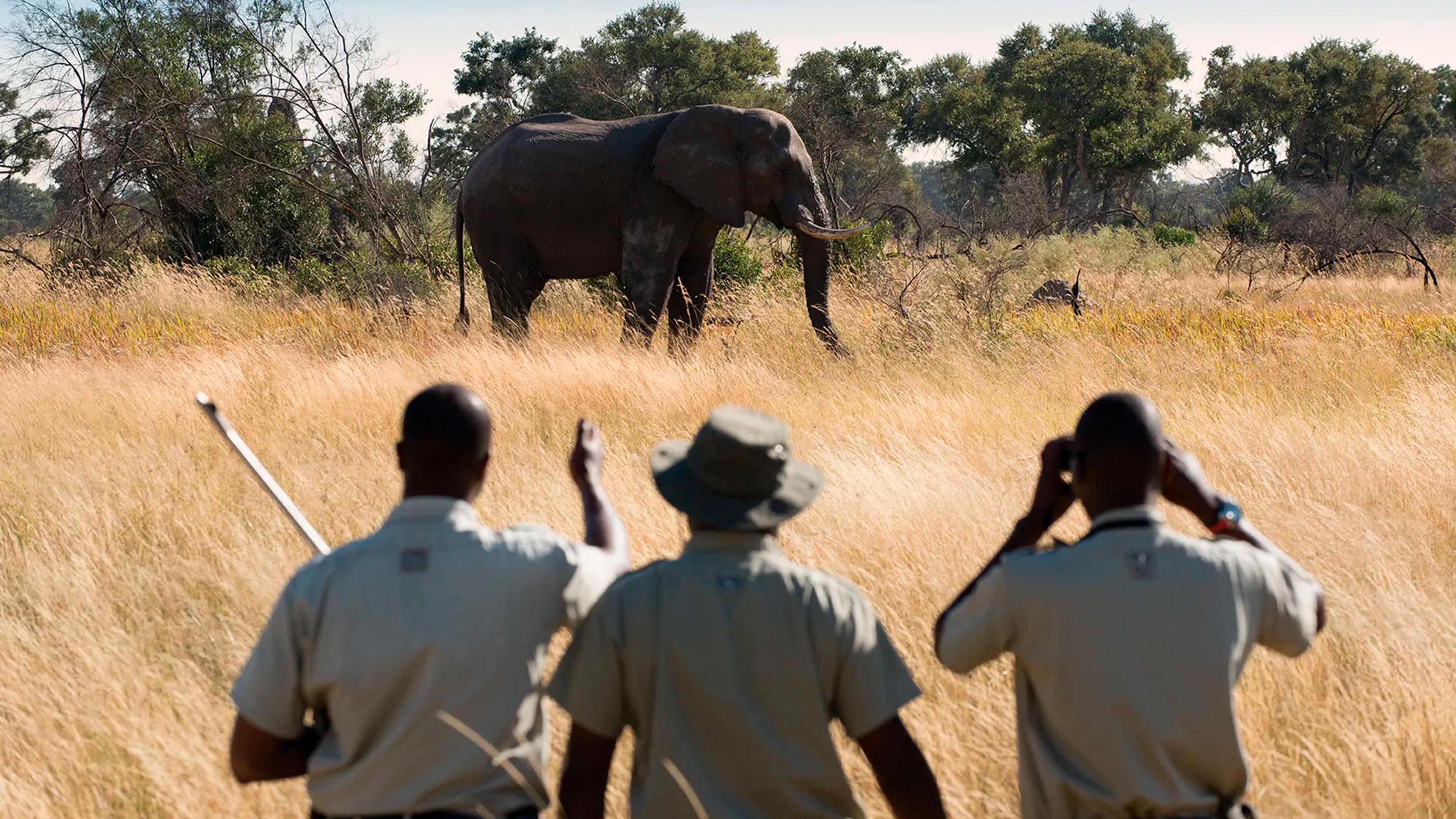 SOUTH LUANGWA NATIONAL PARK