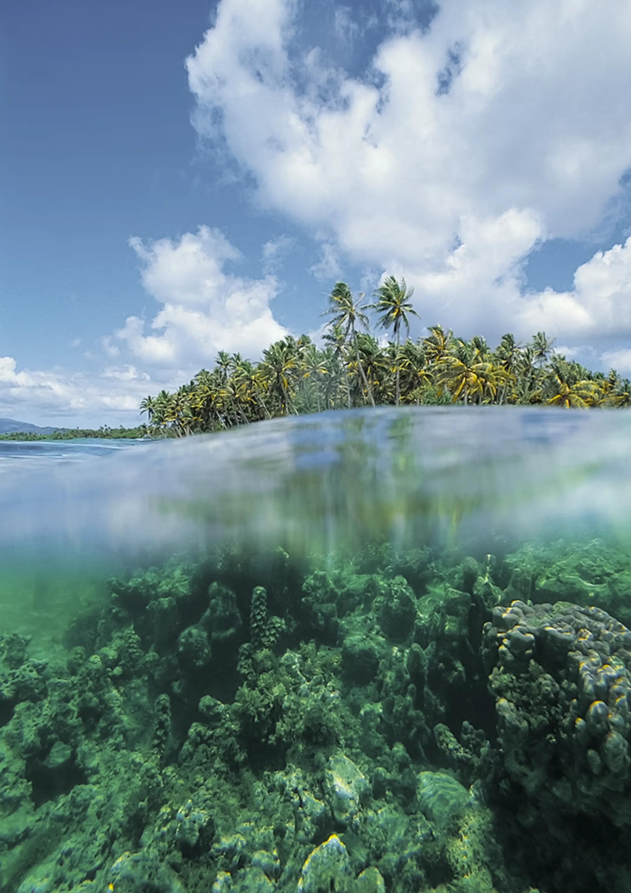 ARRIVAL IN BELIZE AND TRANSFER TO MOUNTAIN PINE RIDGE
