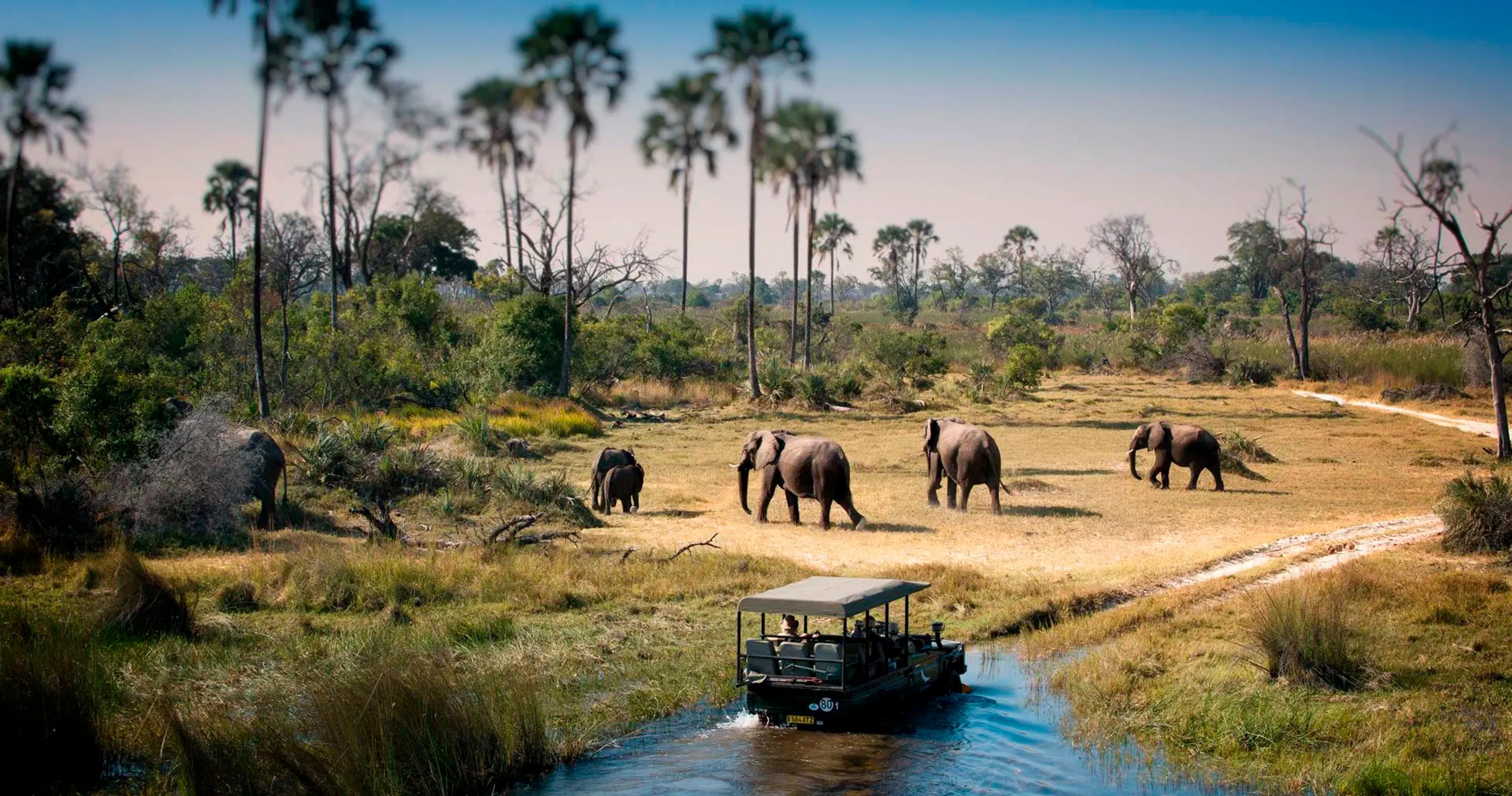 CHOBE NATIONAL PARK SAFARI EXPERIENCE