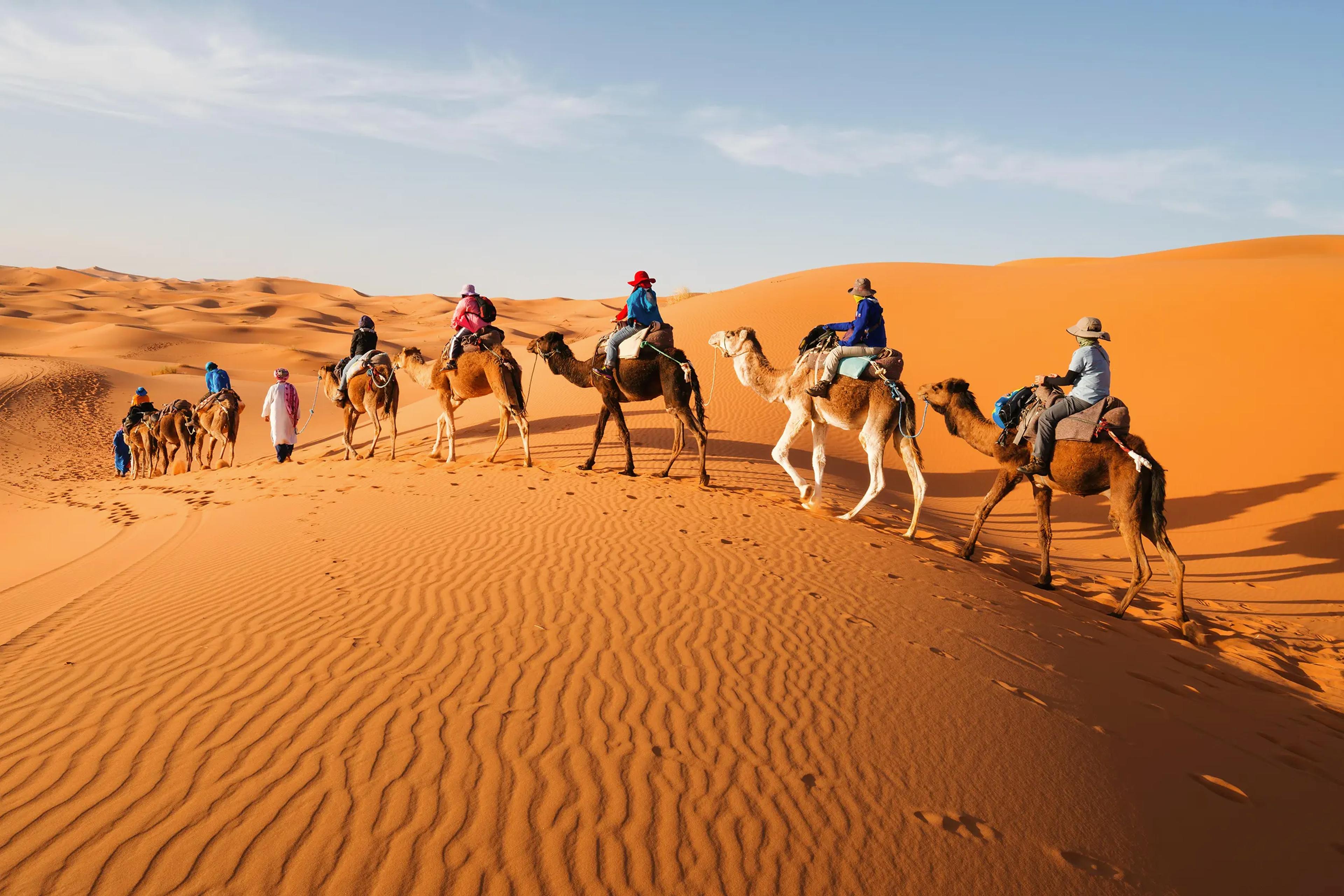SOUTHERN MOROCCO EXPEDITION