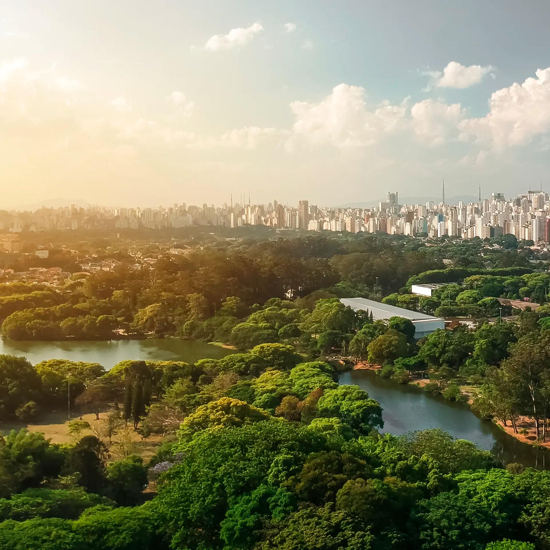 São Paulo & Contemporary Brazil