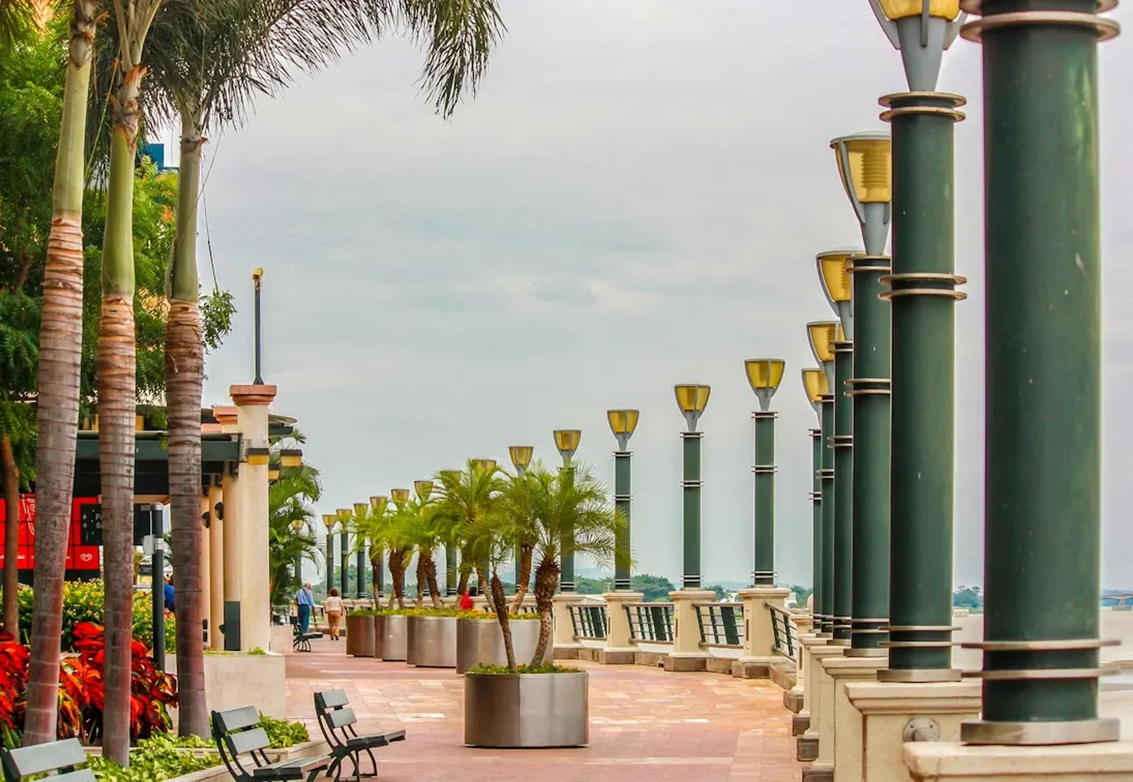 ARRIVAL IN GUAYAQUIL