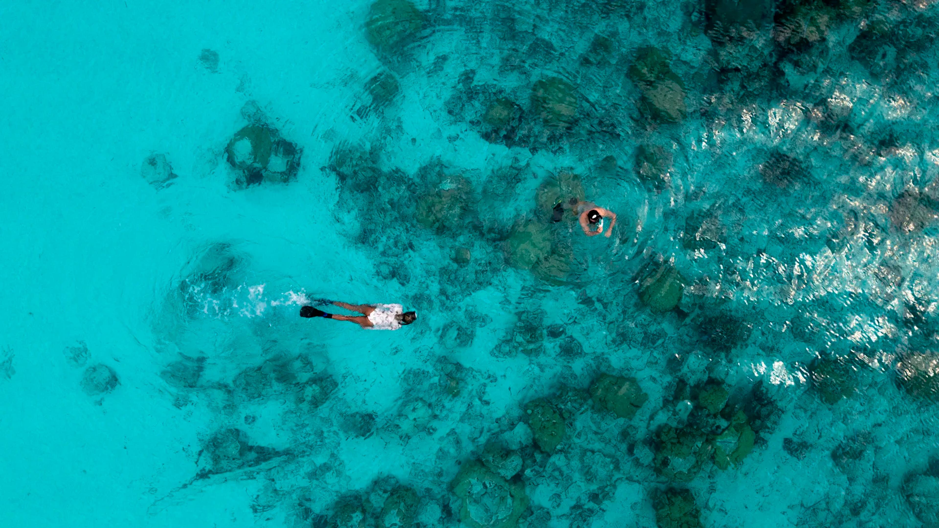 ZANZIBAR SPICE ISLAND ESCAPE