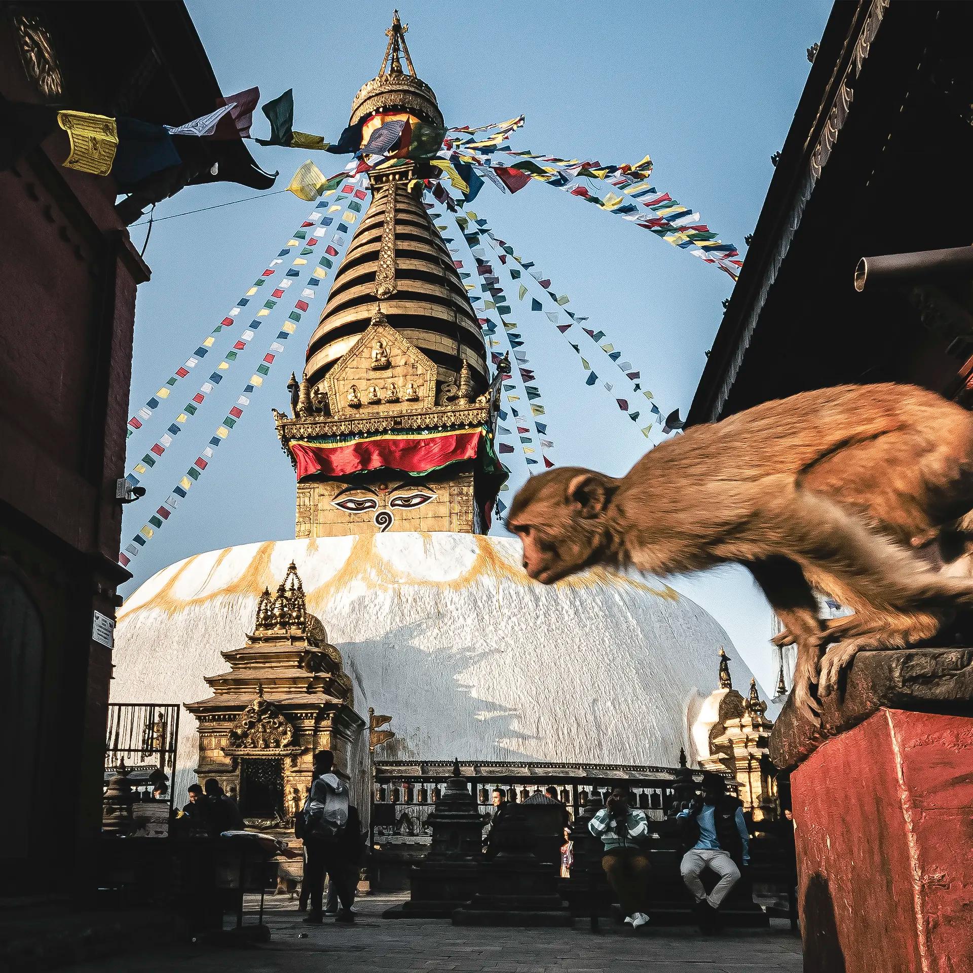 KATHMANDU | TEMPLES AND SACRED HERITAGE