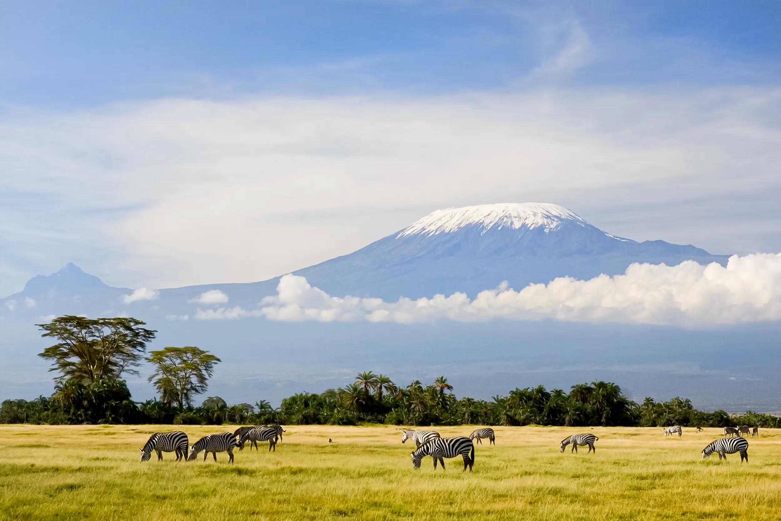 Mount Kilimanjaro & the Northern Highlands