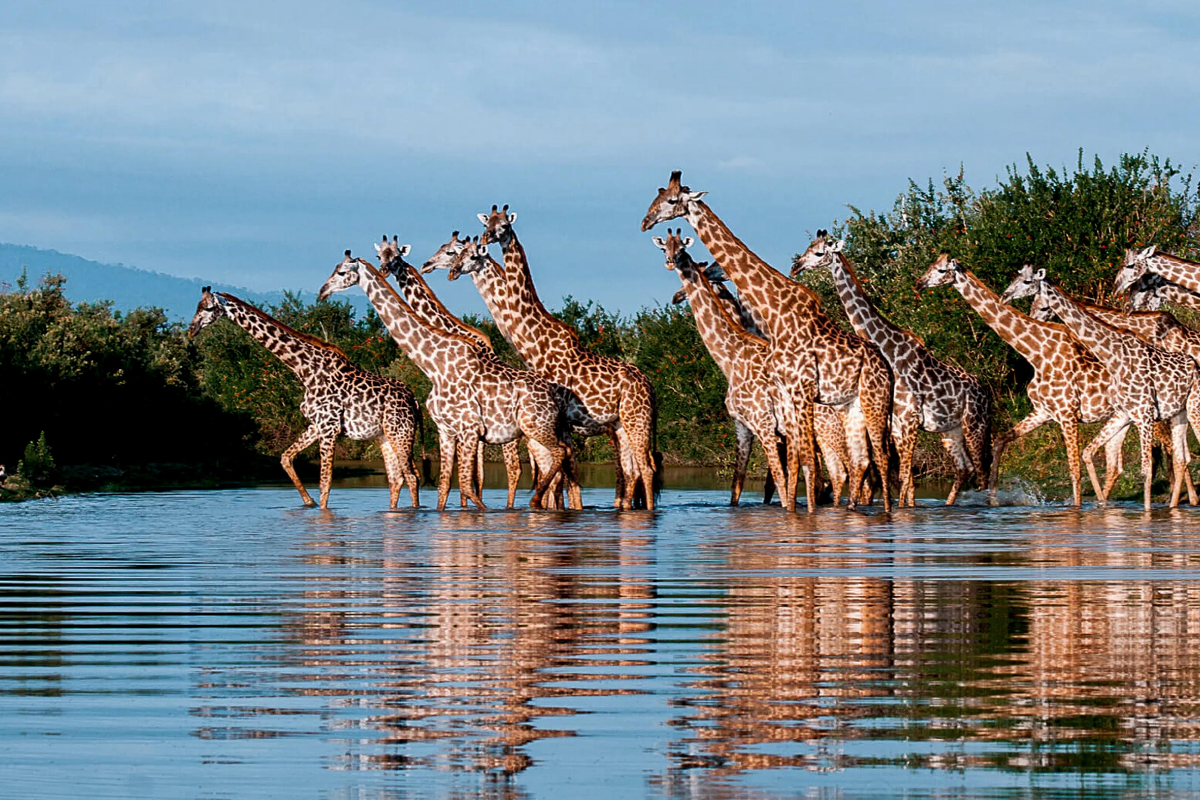 The Southern Parks & Remote Wilderness