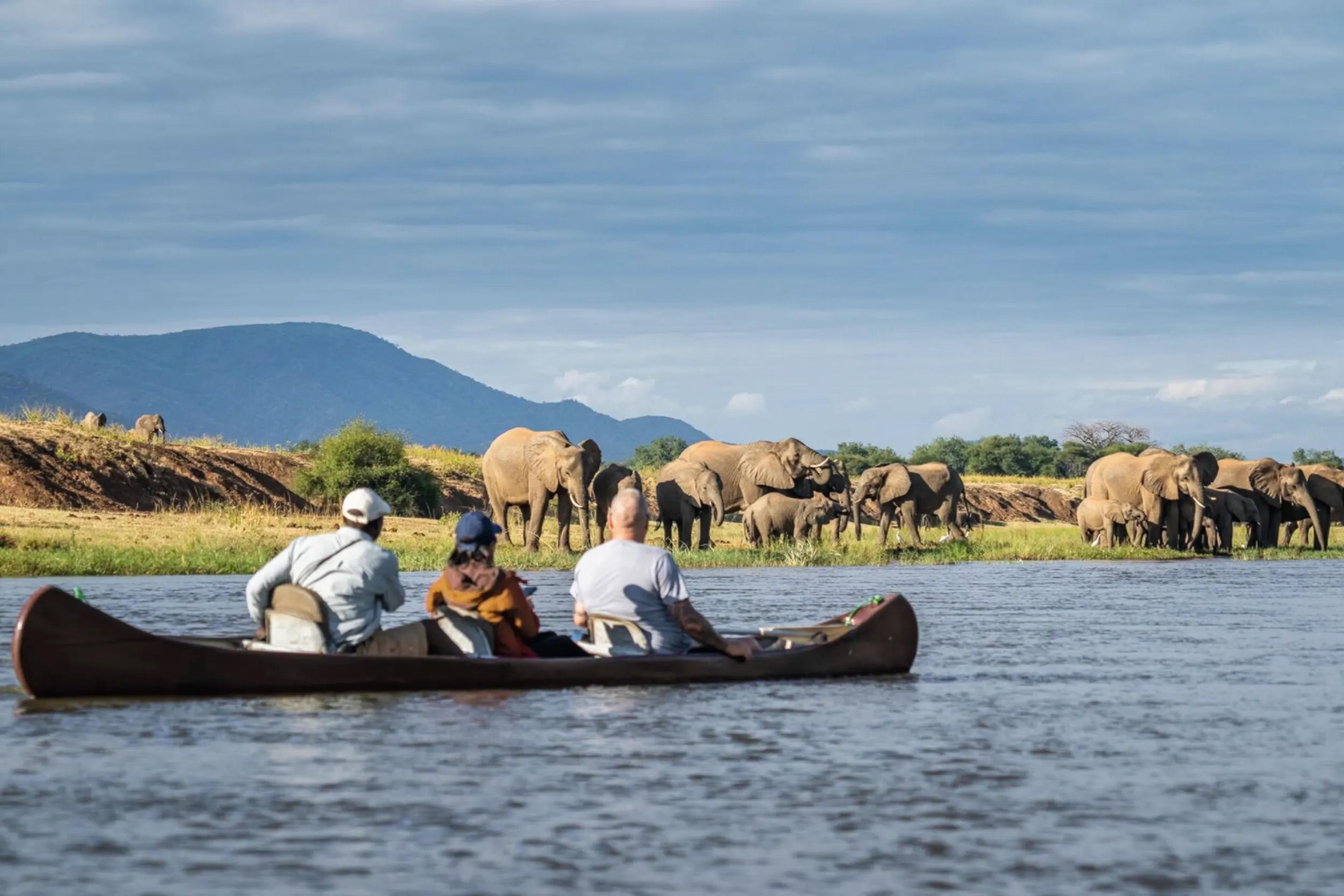 Lower Zambezi National Park