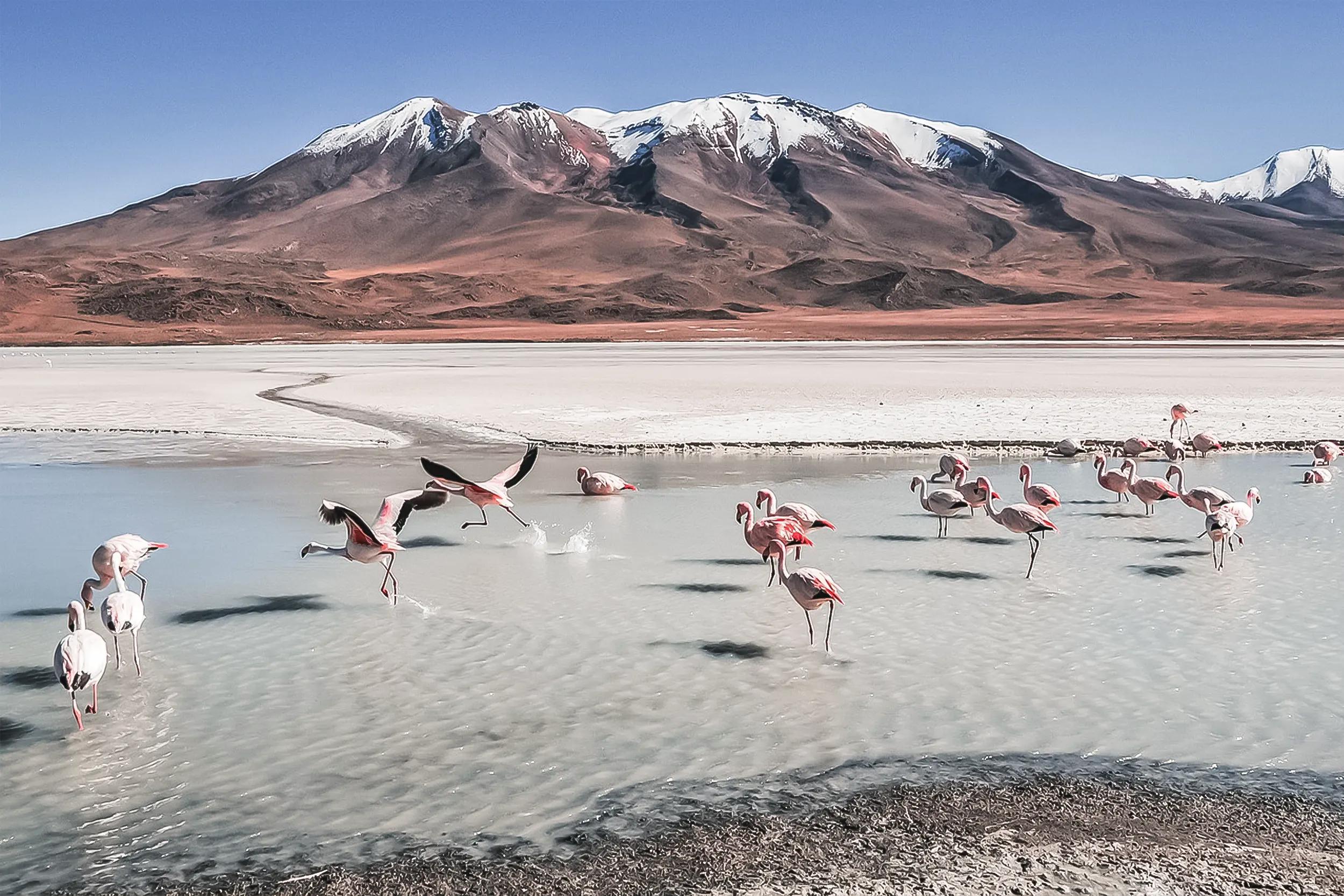 UYUNI SALT FLATS: INCAHUASI, TUNUPA AND MIRRORING HORIZONS