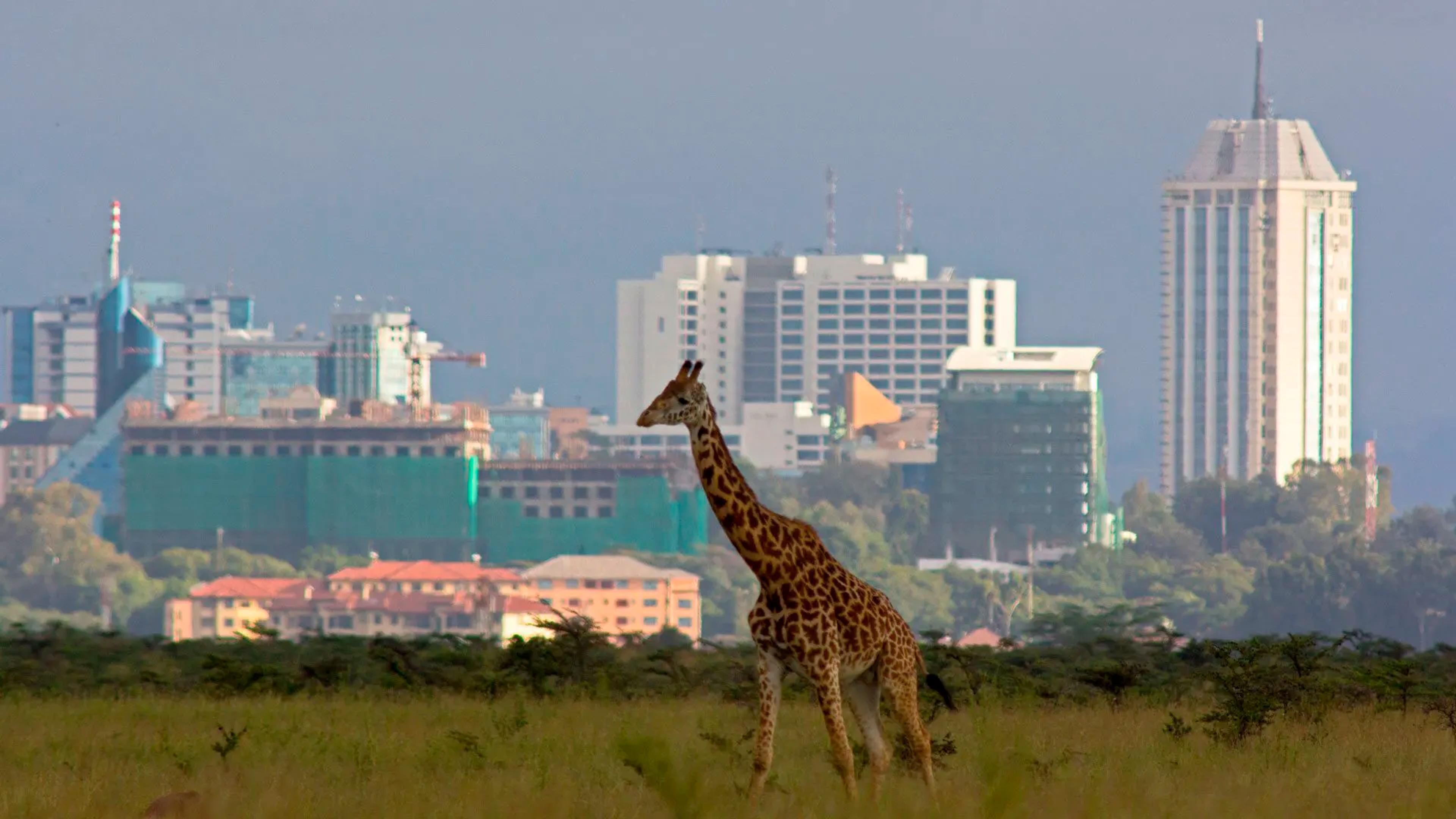NAIROBI | ARRIVAL AND CITY INTRODUCTION