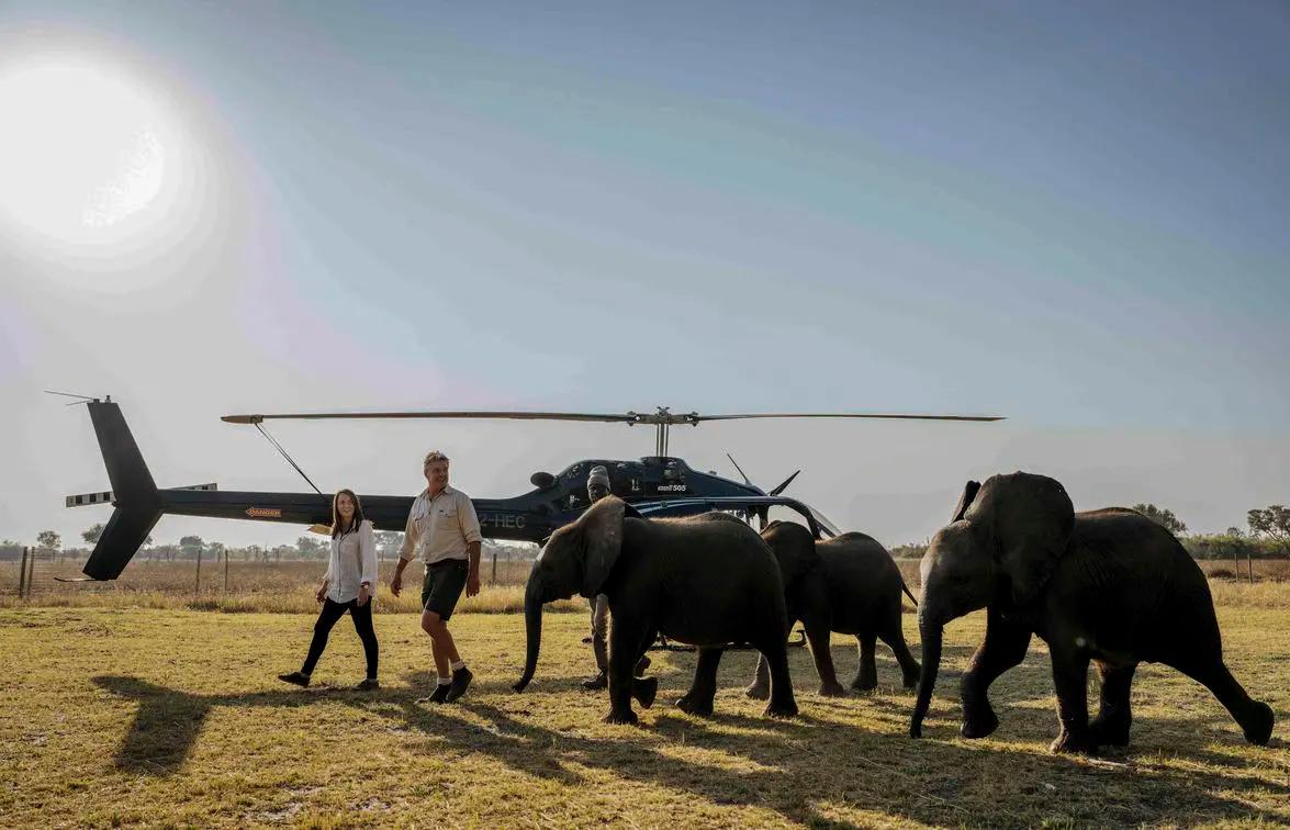 NHT Signature Experiences