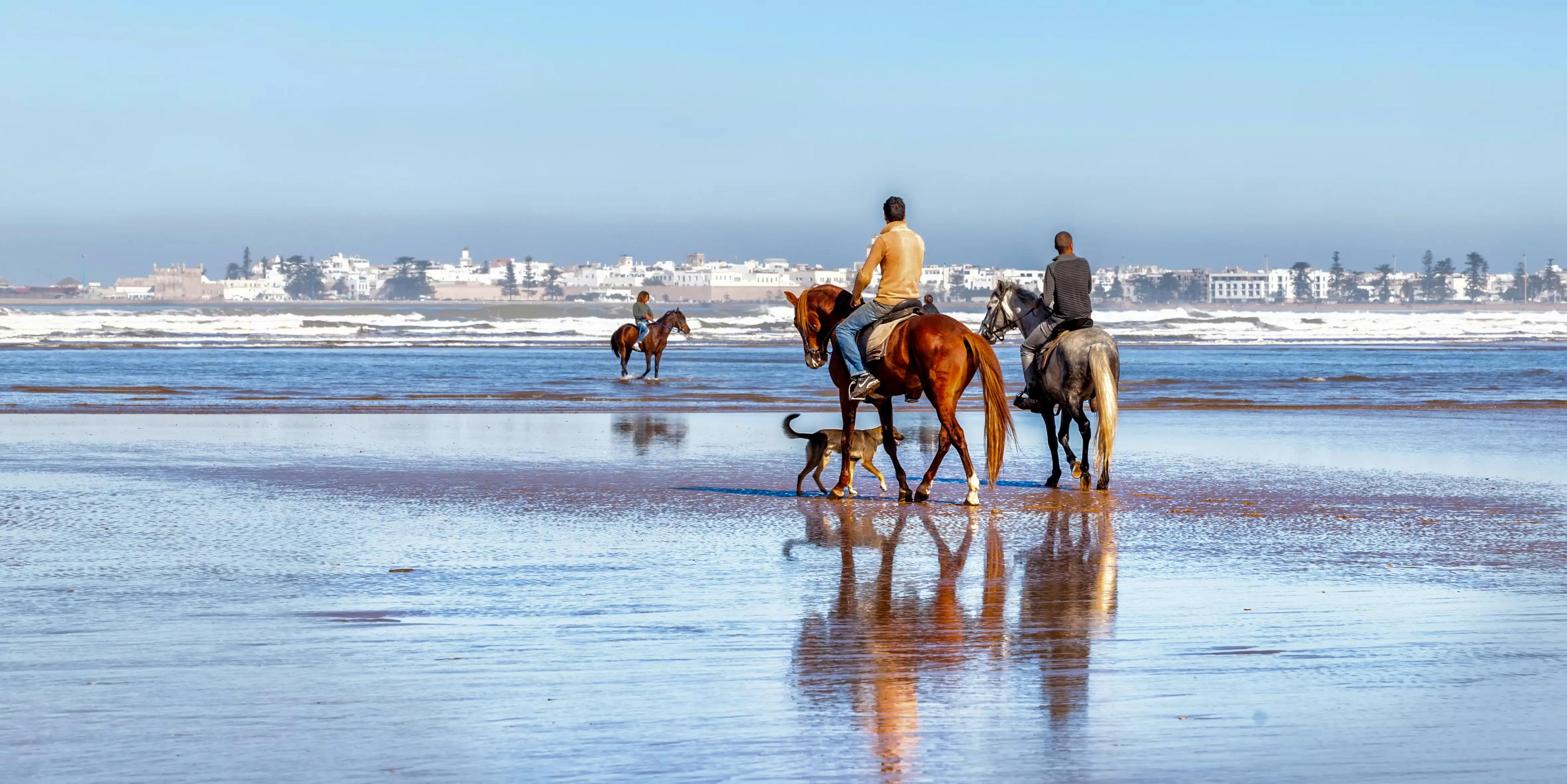 ARRIVE IN CASABLANCA