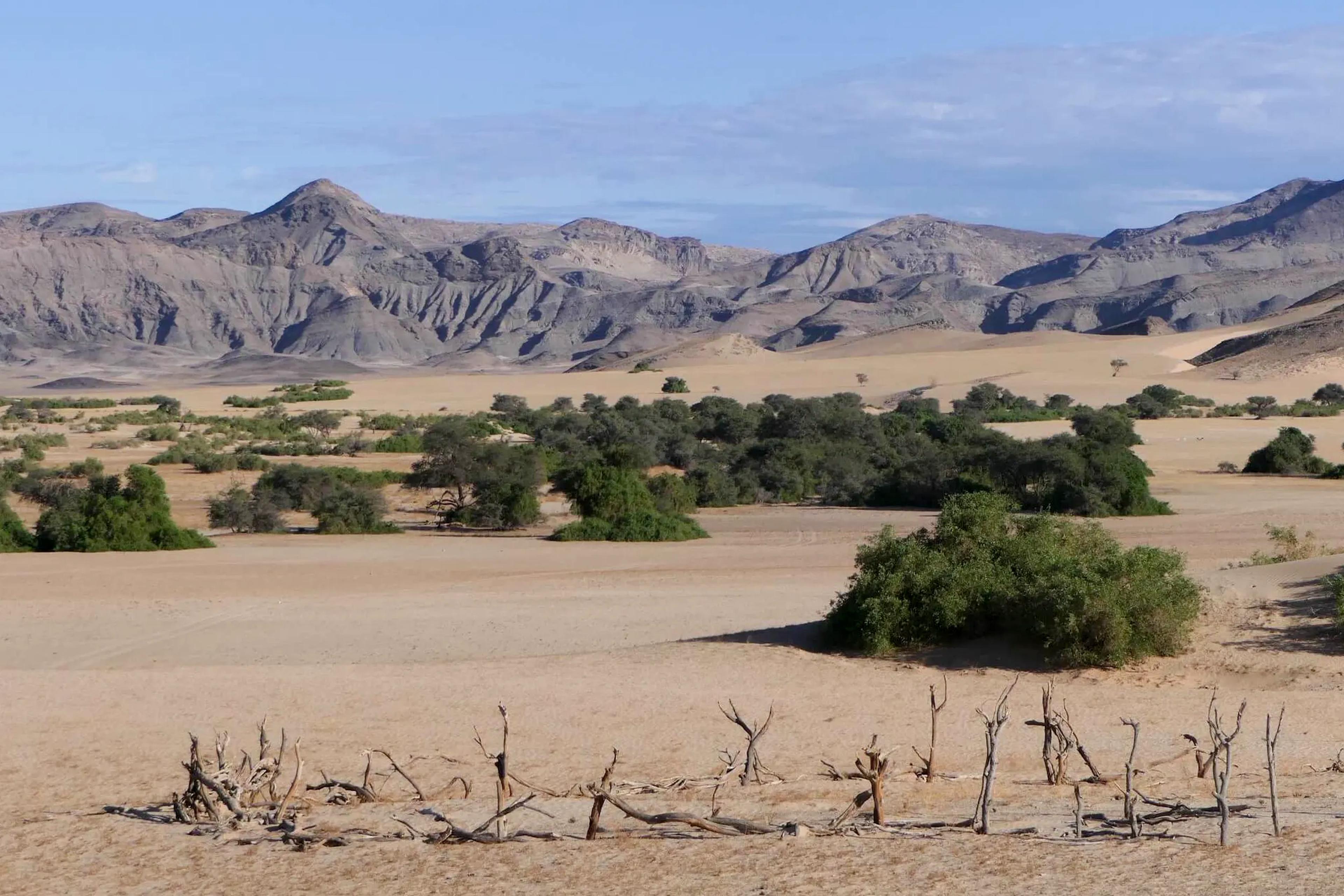 The Kaokoland & Remote Northern Regions