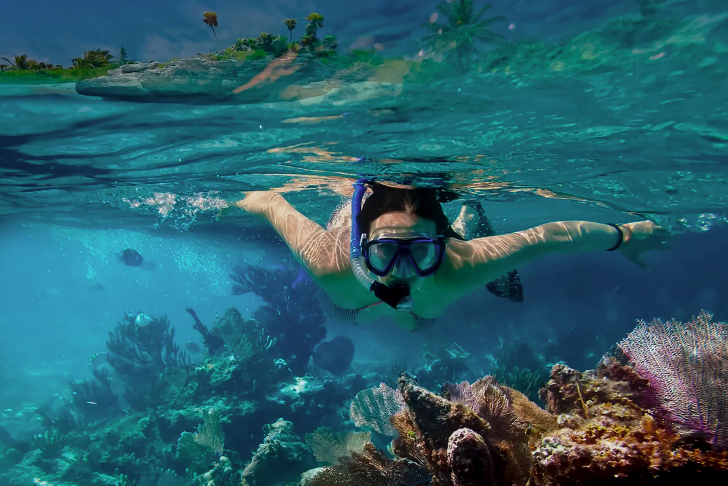 PRIVATE SNORKELING AT MEXICO ROCKS