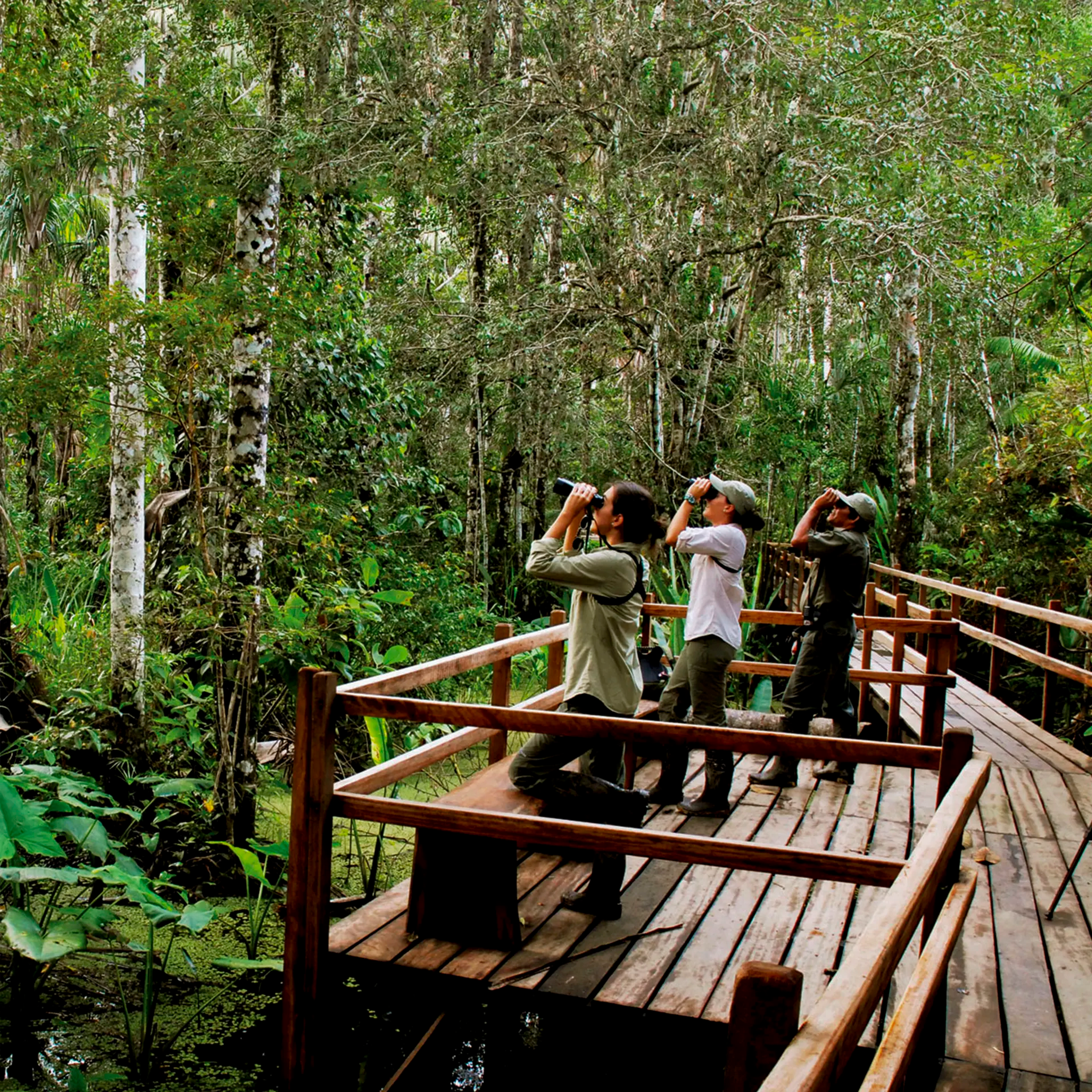 The Southern Amazon - Tambopata & Madre de Dios