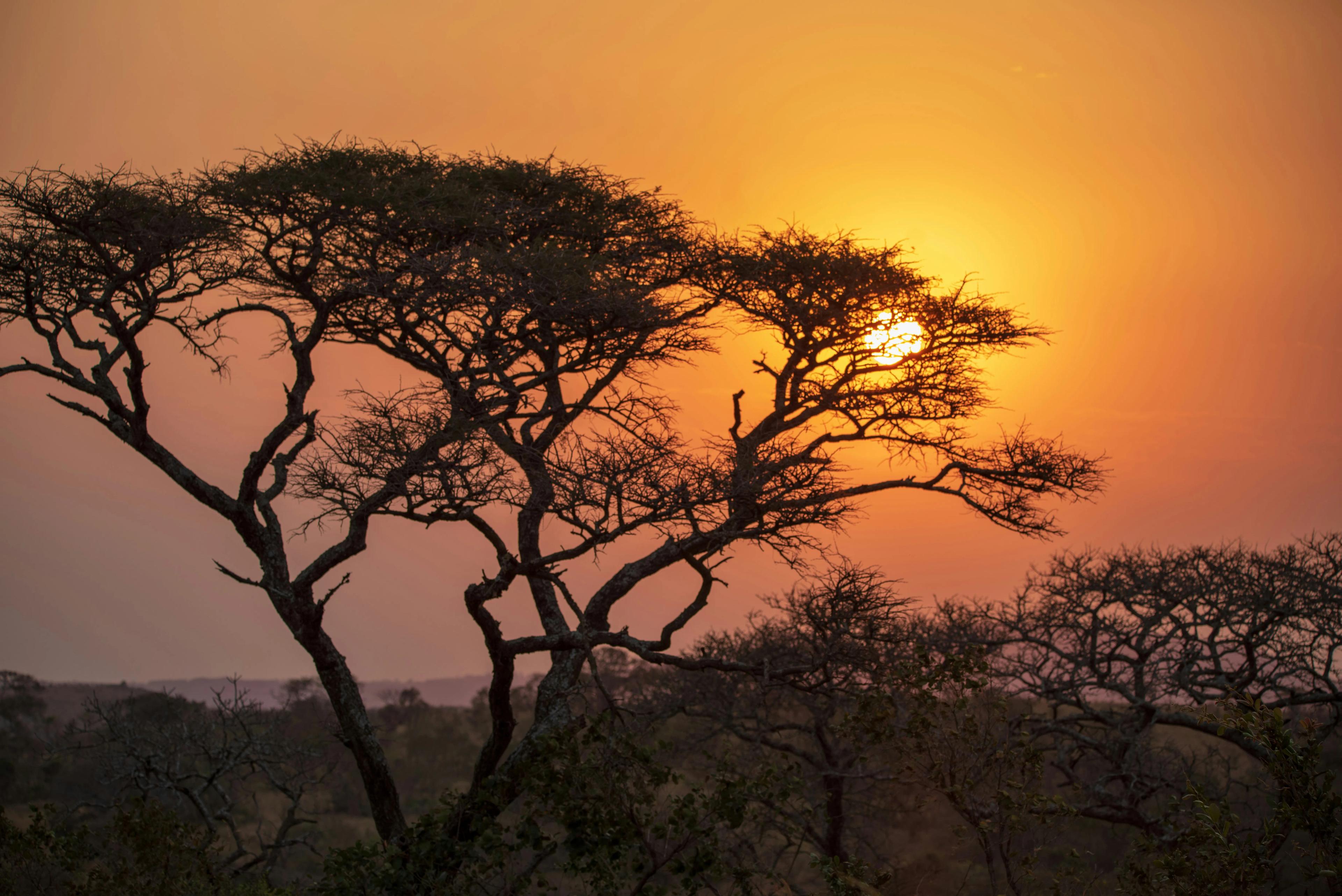 CHEETAH CONSERVATION FUND AND RETURN TO WINDHOEK