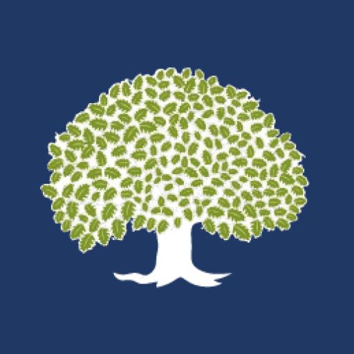 WhiteOak Capital Mutual Fund logo