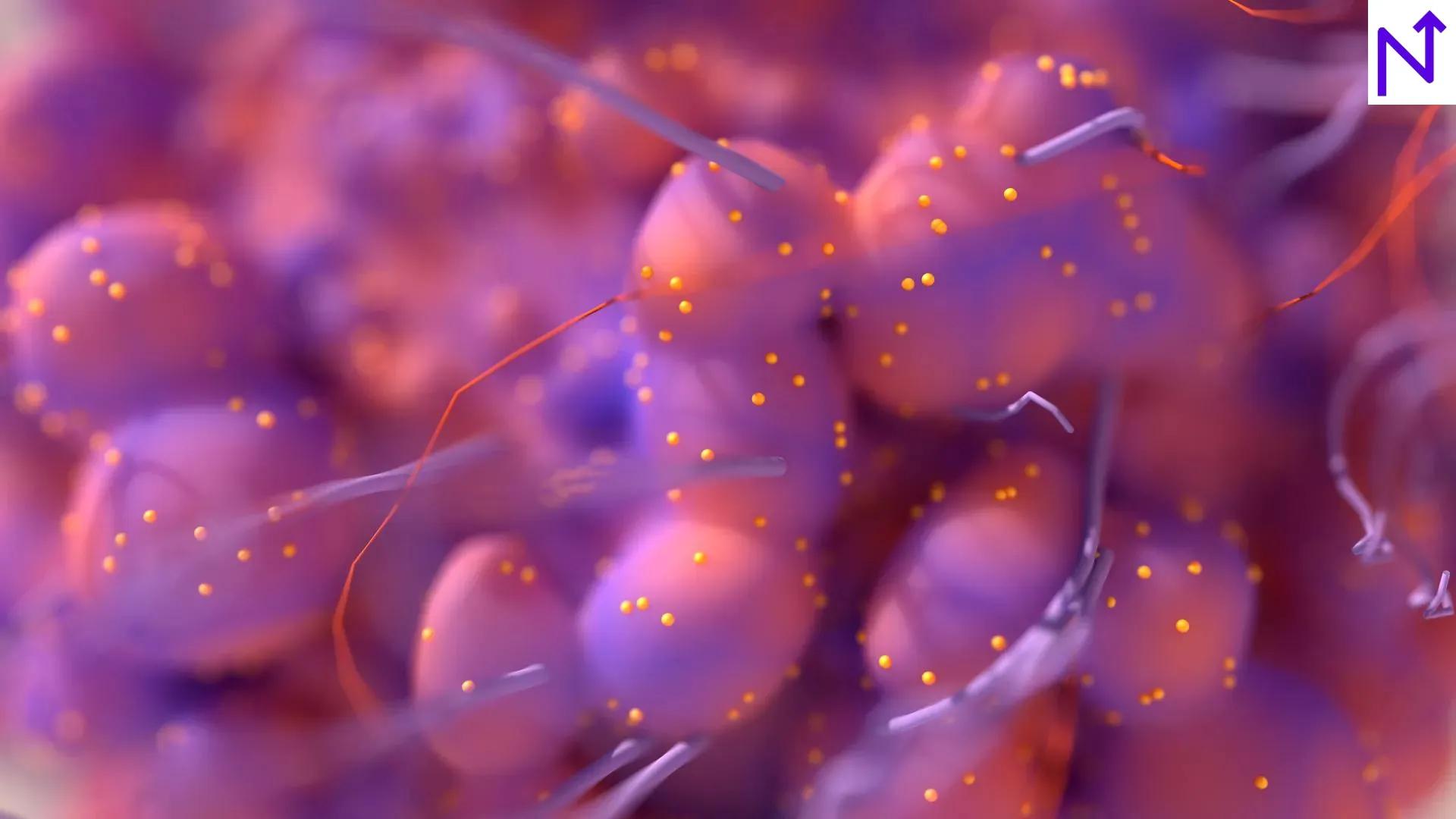 Personalized Nutrition : A Key Role in Cancer Treatment